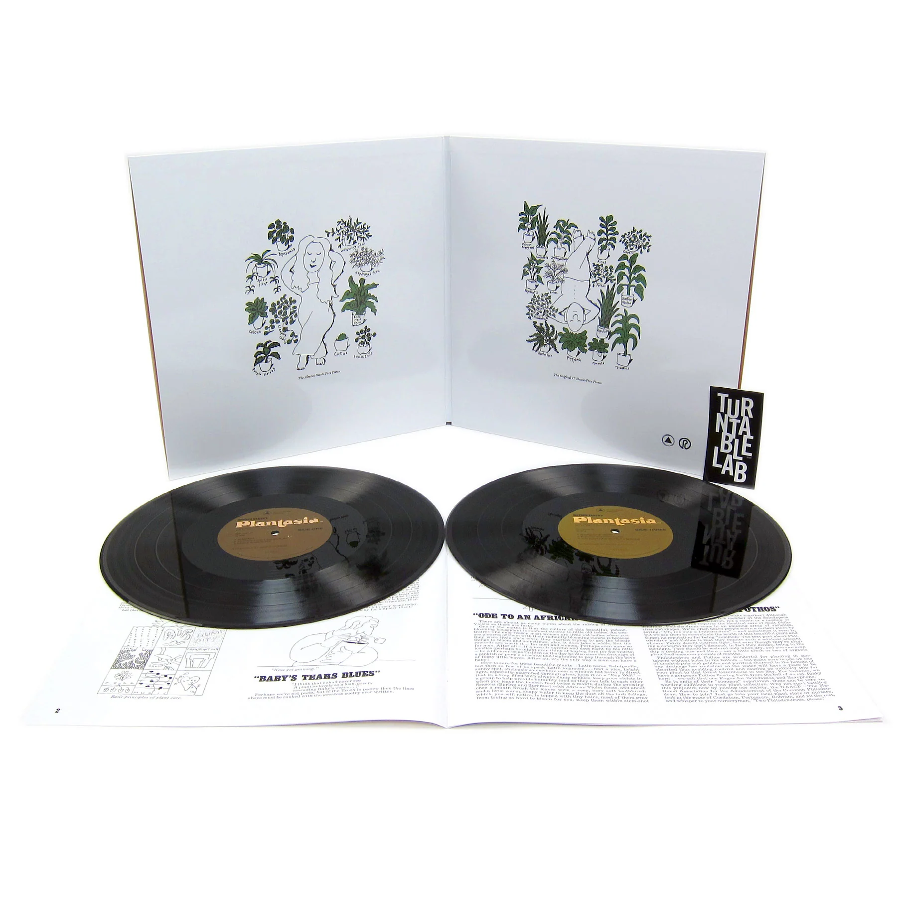 Mort Garson: Mother Earth's Plantasia - Audiophile Edition (180g) Vinyl 2LP - Image 2