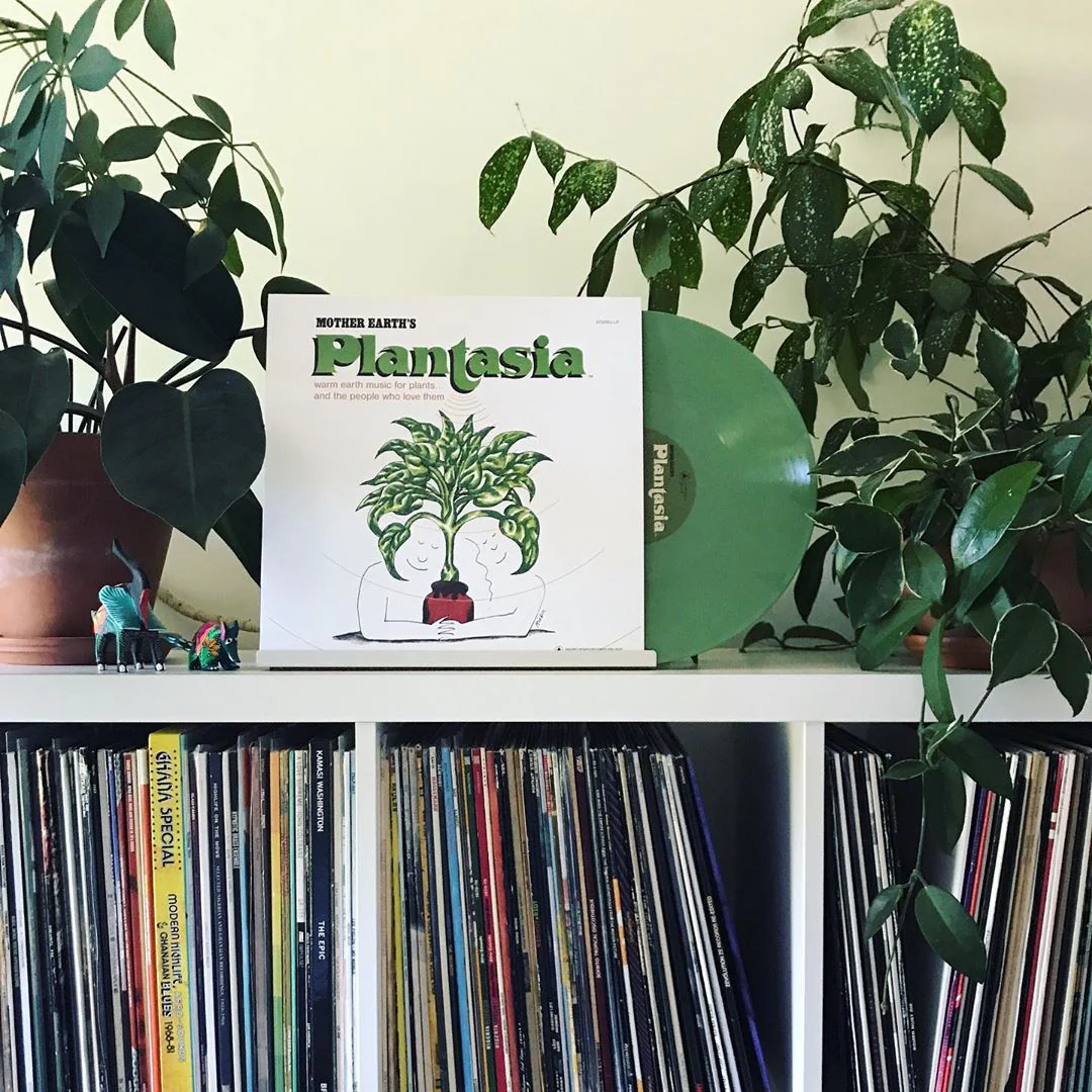 Mort Garson: Mother Earth's Plantasia (Green Colored Vinyl) Vinyl LP - Image 2