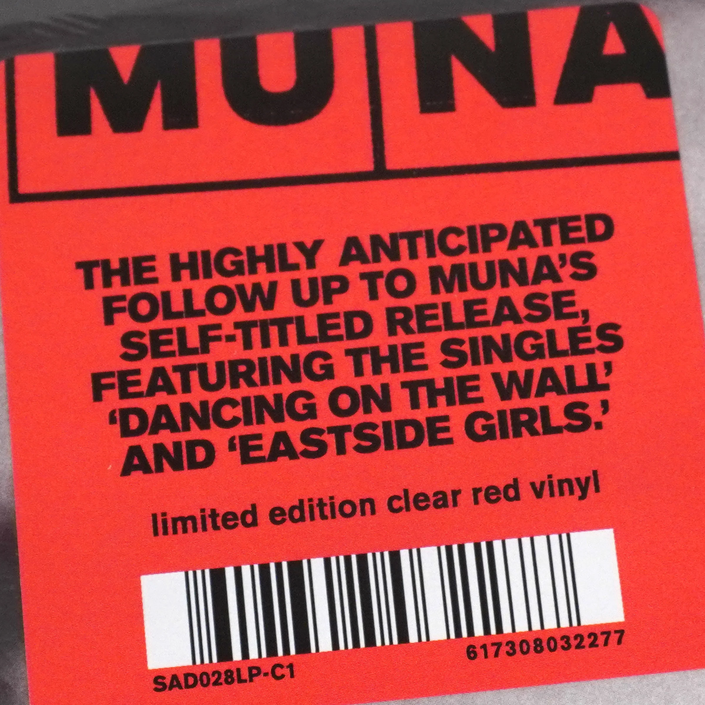 Muna: Dancing On The Wall (Colored Vinyl) Vinyl LP - Image 4