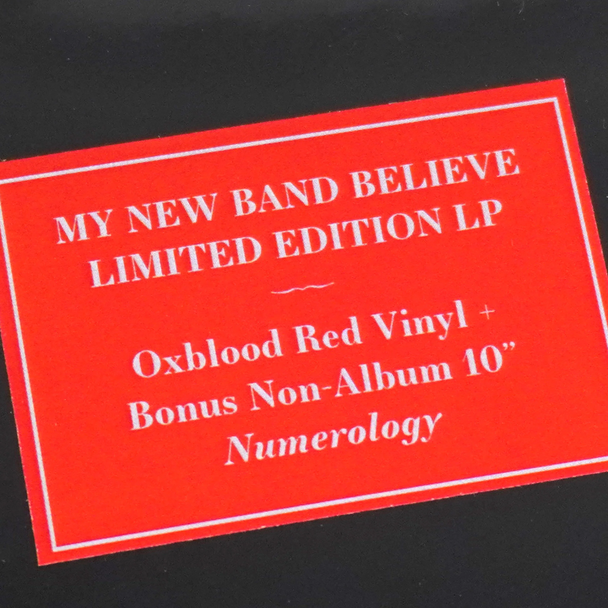 My New Band Believe: My New Band Believe (Black Midi) (Indie Exclusive Colored Vinyl) Vinyl LP+10" - Image 4
