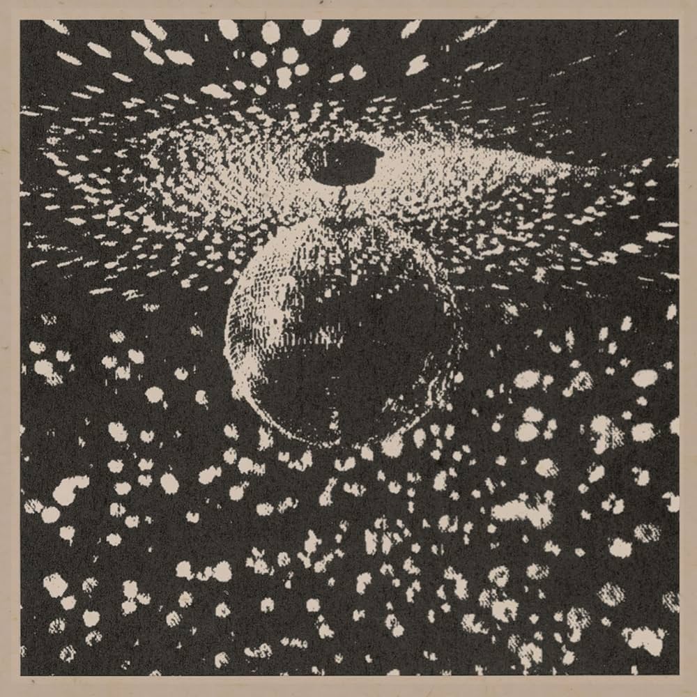 Neil Young: Mirror Ball Vinyl 2LP - PRE-ORDER