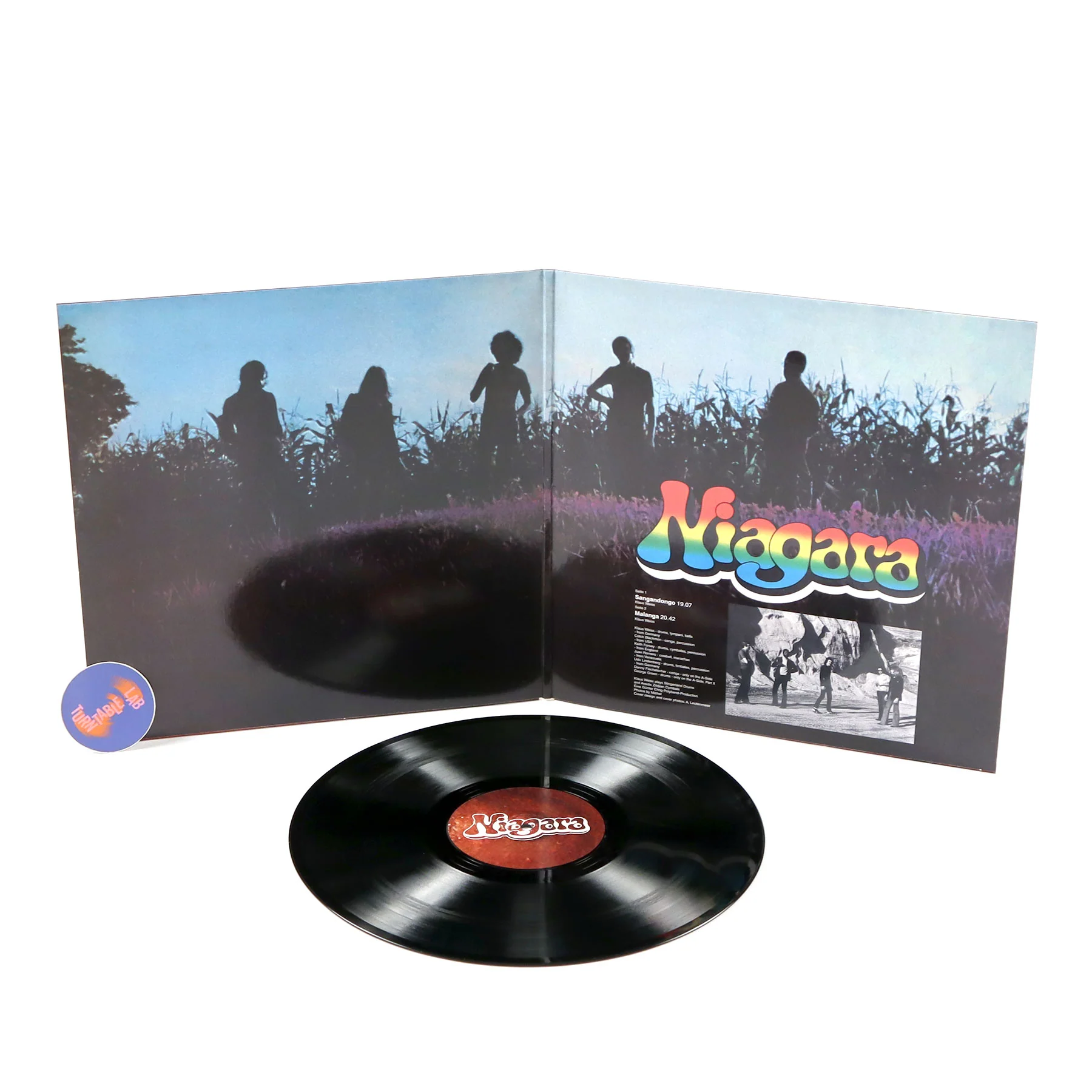 Niagara: Niagara Vinyl LP - Image 2