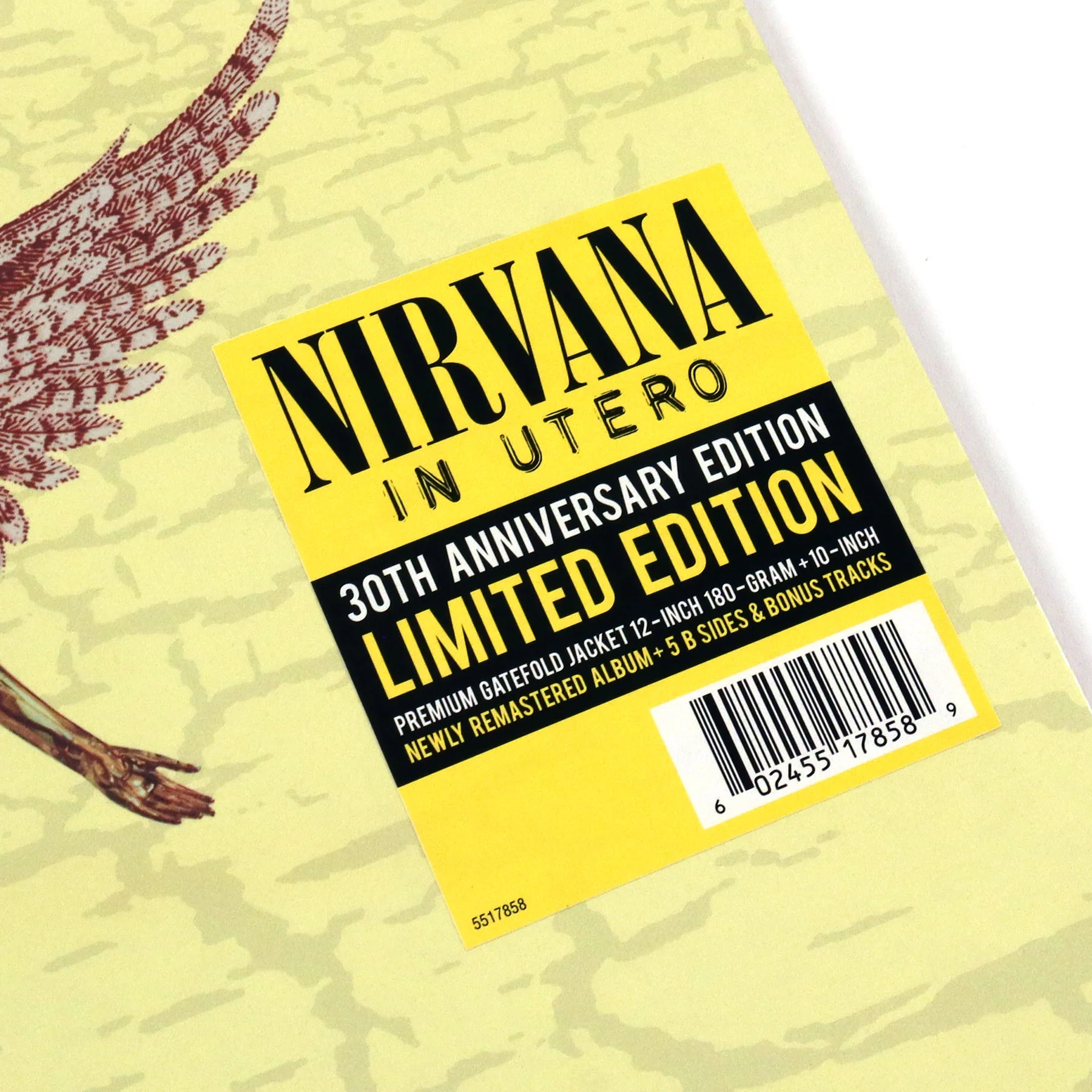 Nirvana: In Utero - 30th Anniversary Edition (180g) Vinyl LP+10" - Image 4