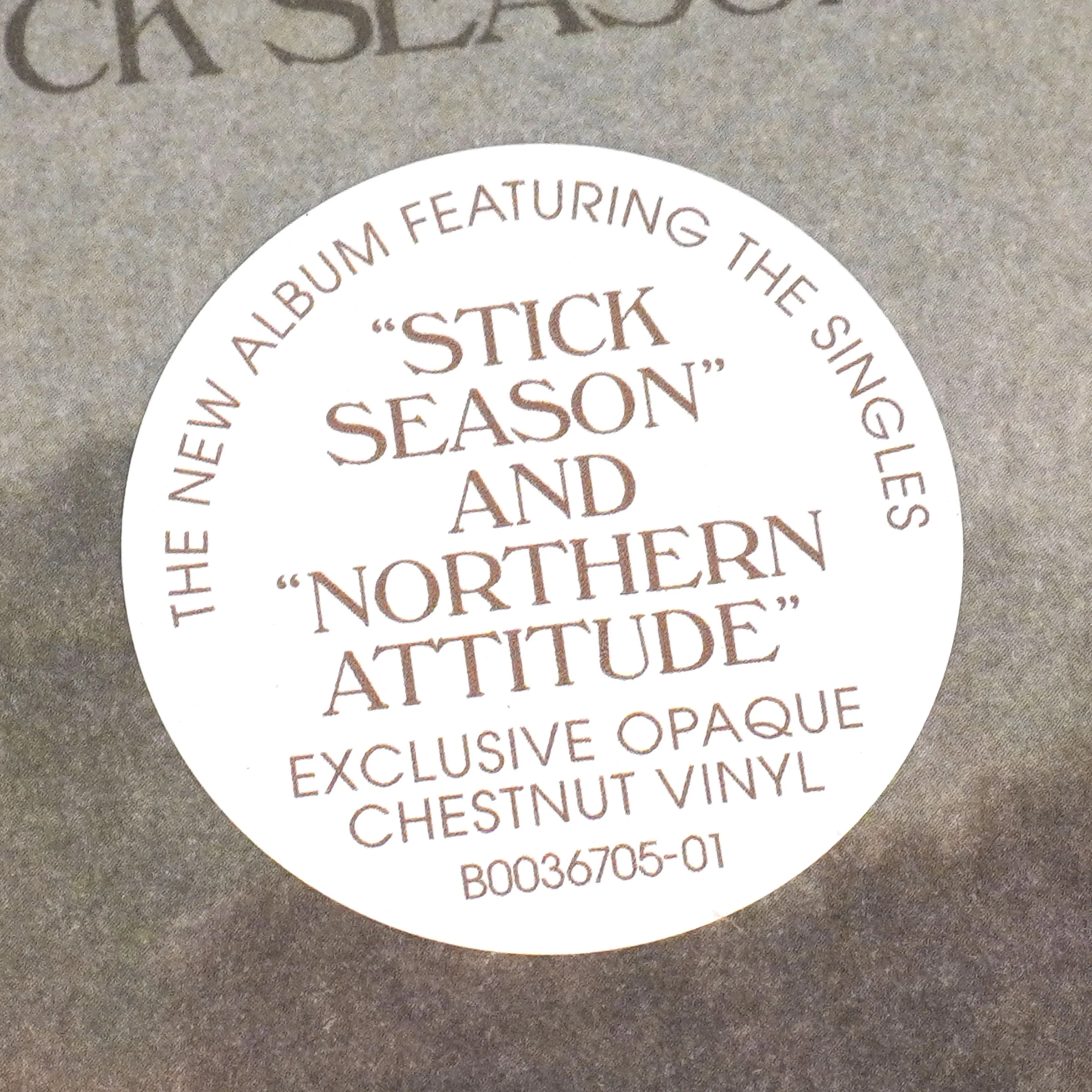 Noah Kahan: Stick Season (Indie Exclusive Brown Colored Vinyl) Vinyl 2LP - Image 5