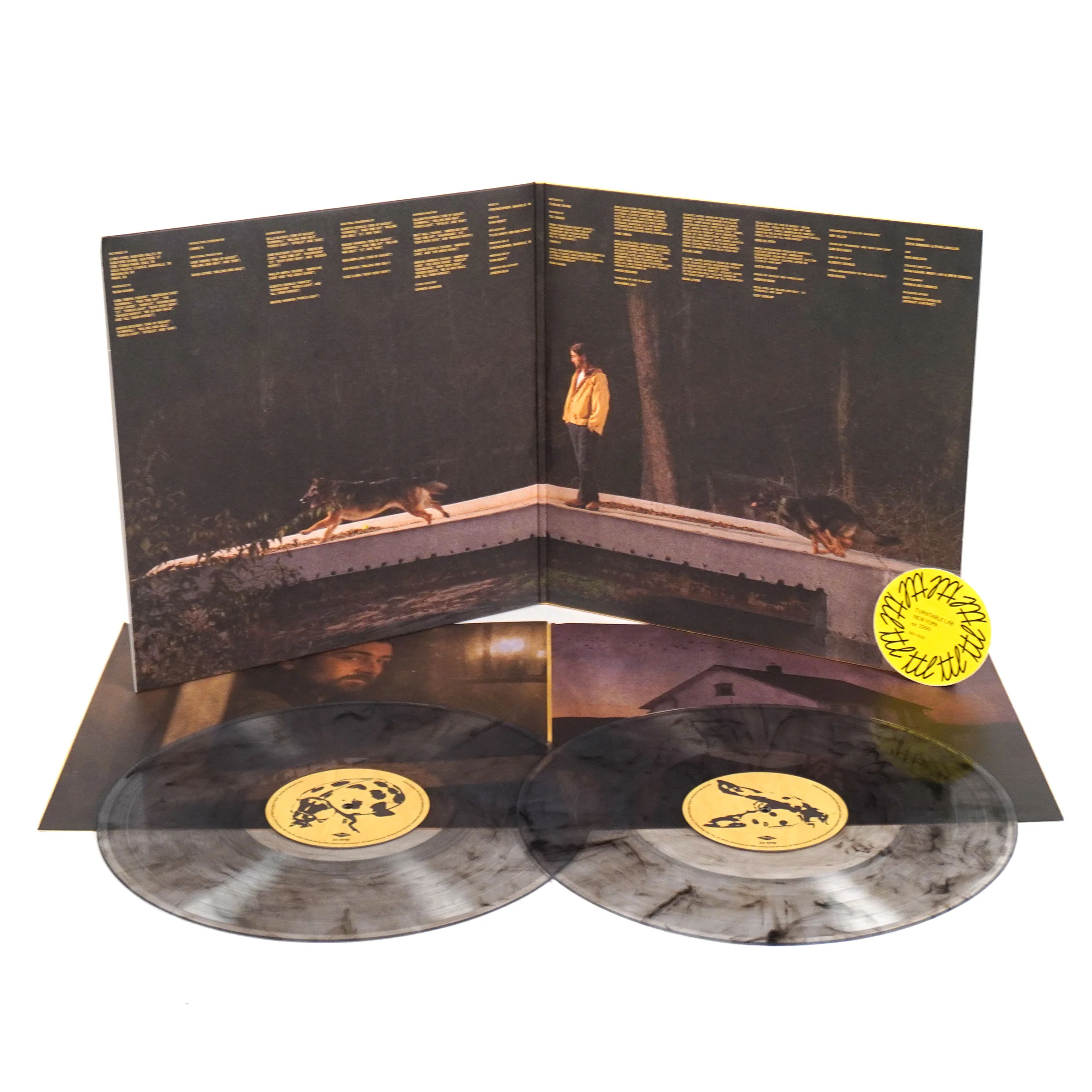 Noah Kahan: The Great Divide (Indie Exclusive Smoke Colored Vinyl) Vinyl 2LP - Image 2
