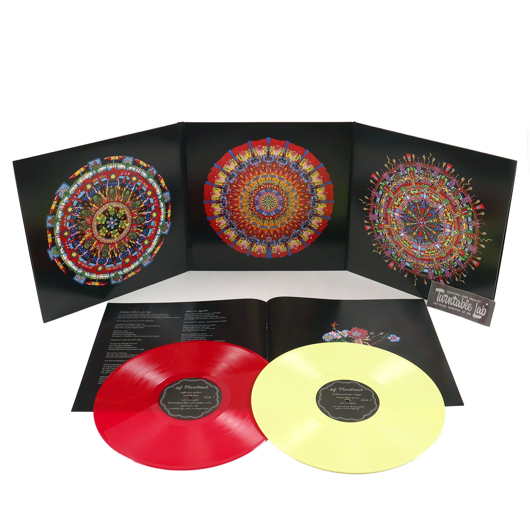 Of Montreal: Hissing Fauna, Are You the Destroyer? (180g, Colored Vinyl) Vinyl 2LP - Image 2