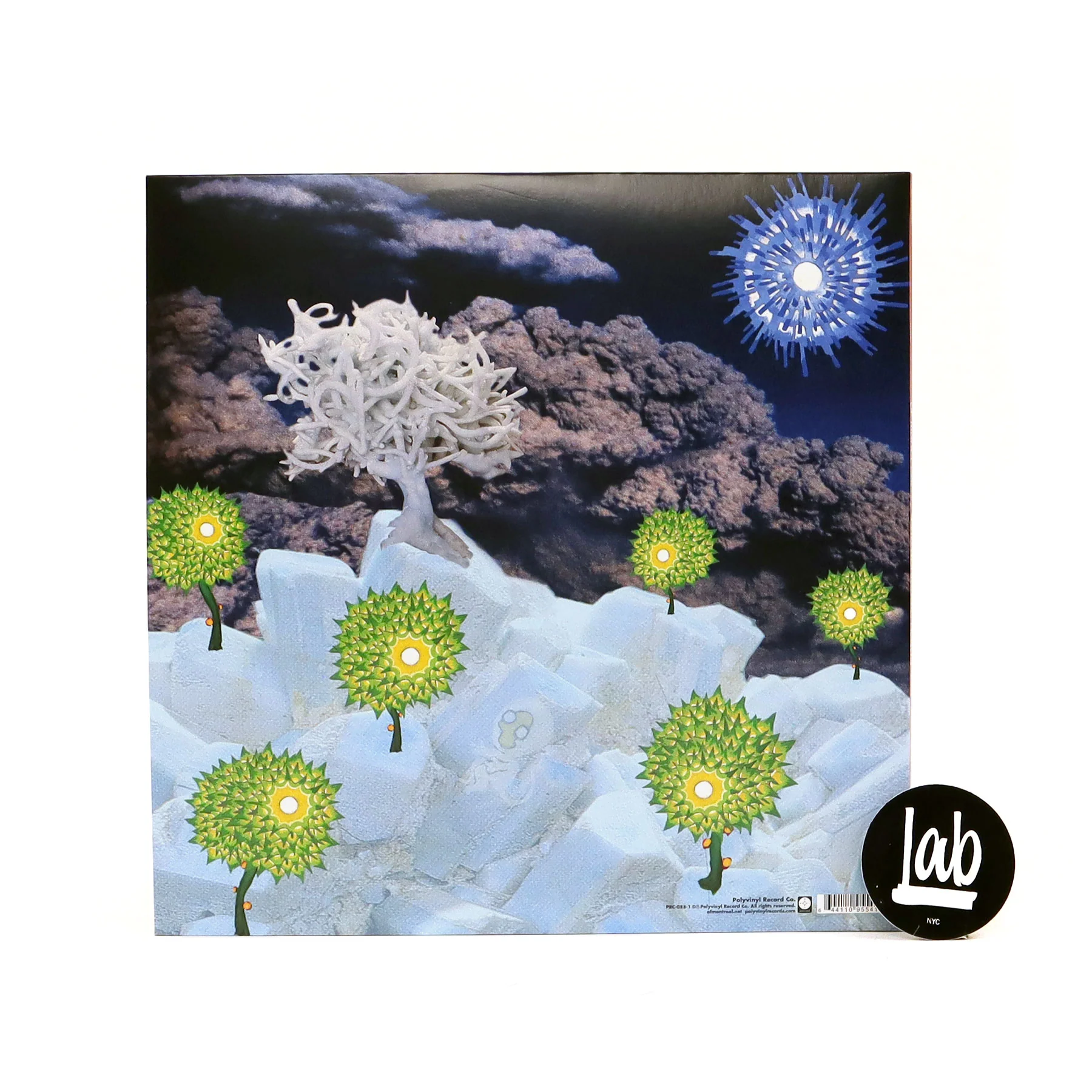 Of Montreal: The Sunlandic Twins (Colored Vinyl) Vinyl 2LP - Image 3