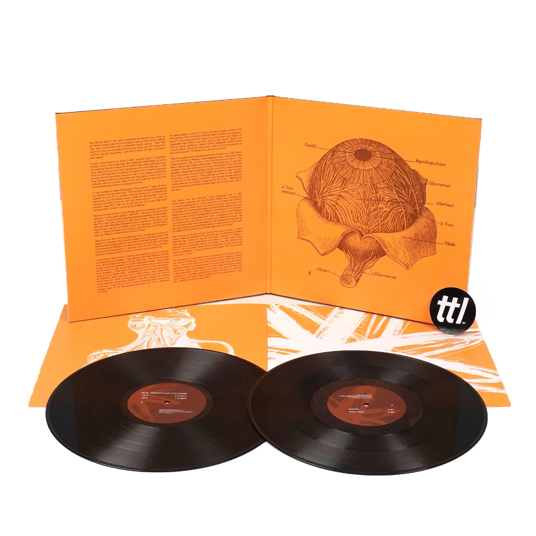 Orbital: Orbital 2 (Import, The Brown Album) Vinyl 2LP - Image 2