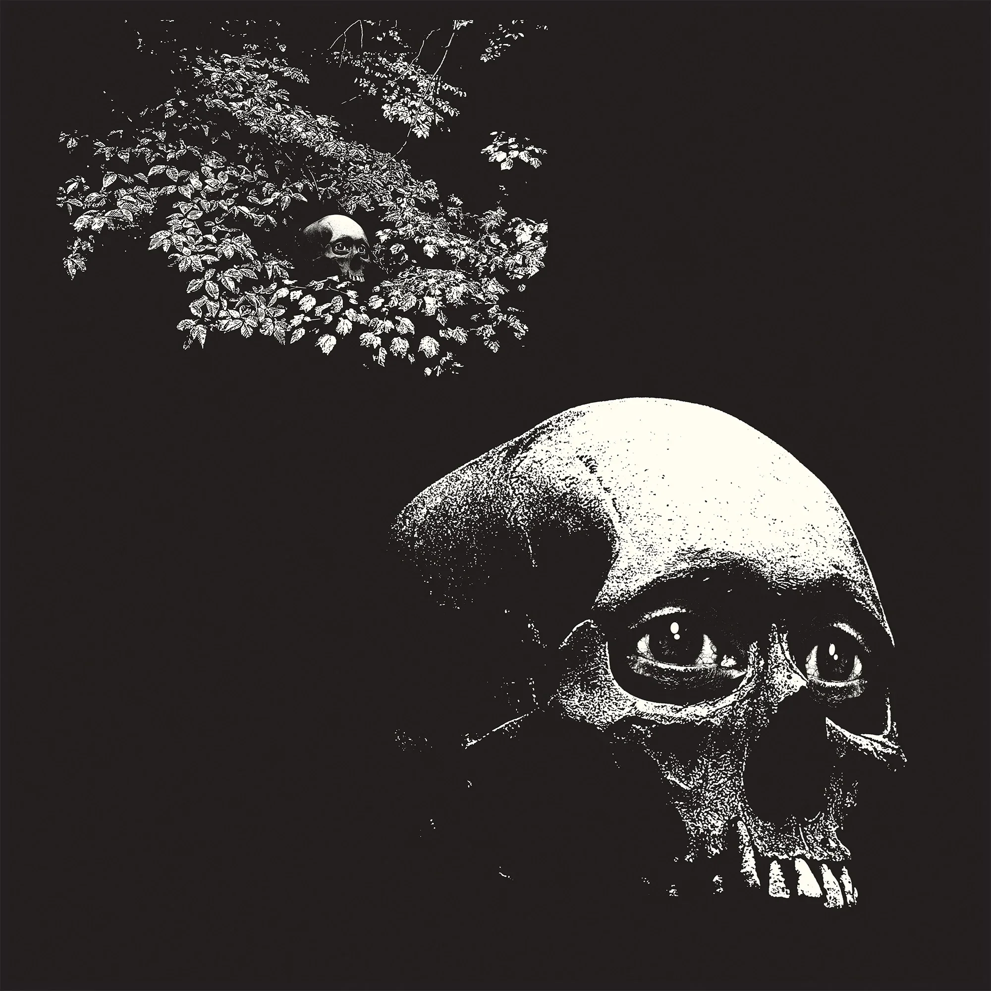 Osees: A Foul Form (Indie Exclusive Colored Vinyl) Vinyl LP - Image 5