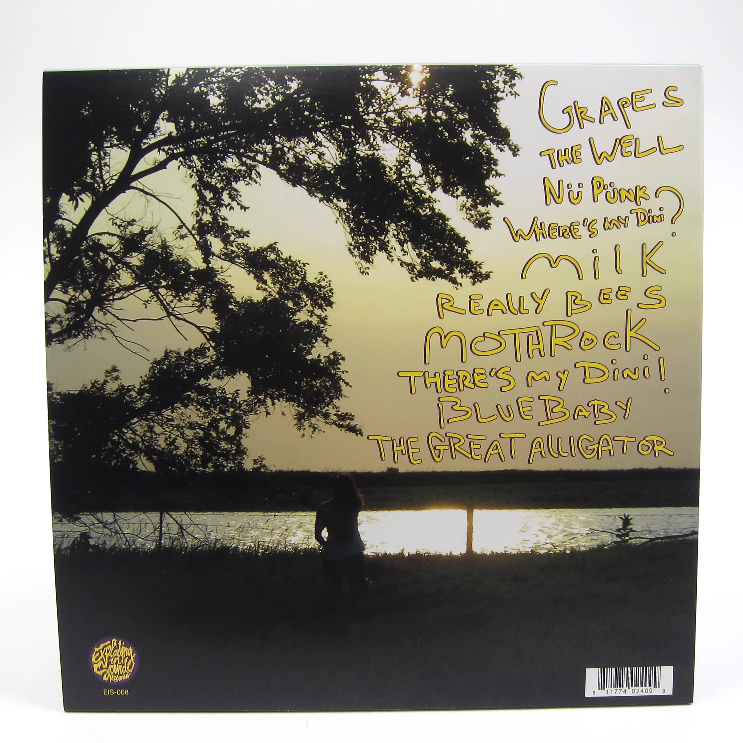 Ovlov: Am (Colored Vinyl) Vinyl LP - Image 2