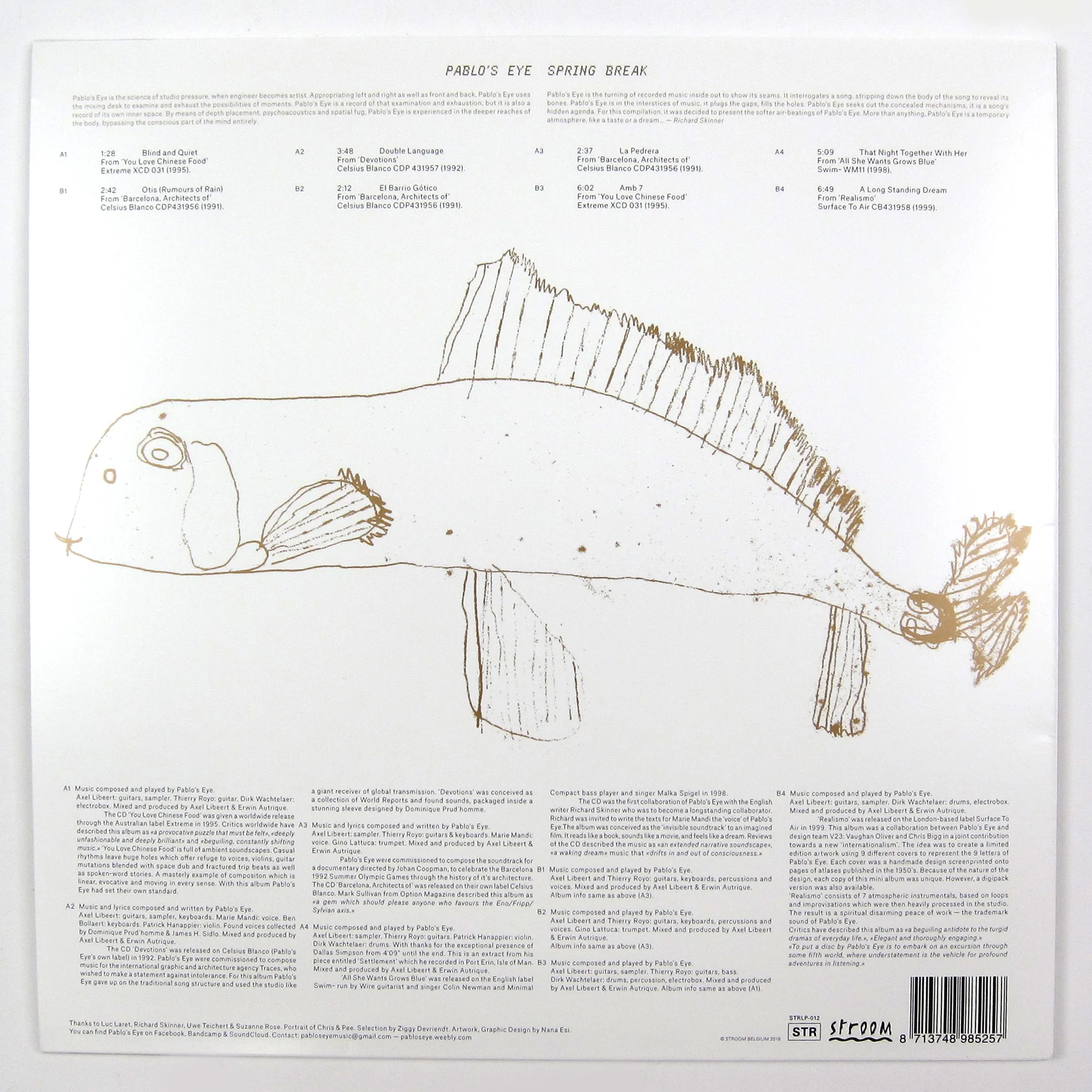 Pablo's Eye: Spring Break Vinyl LP - Image 2