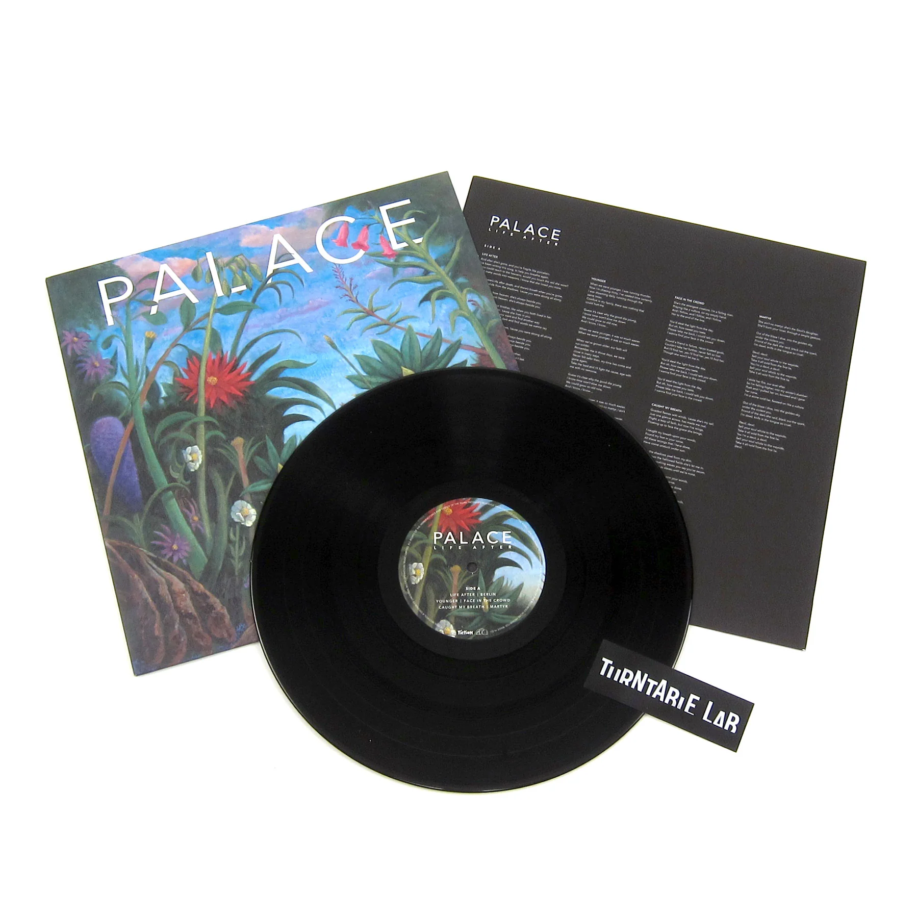 Palace: Life After Vinyl LP - Image 2