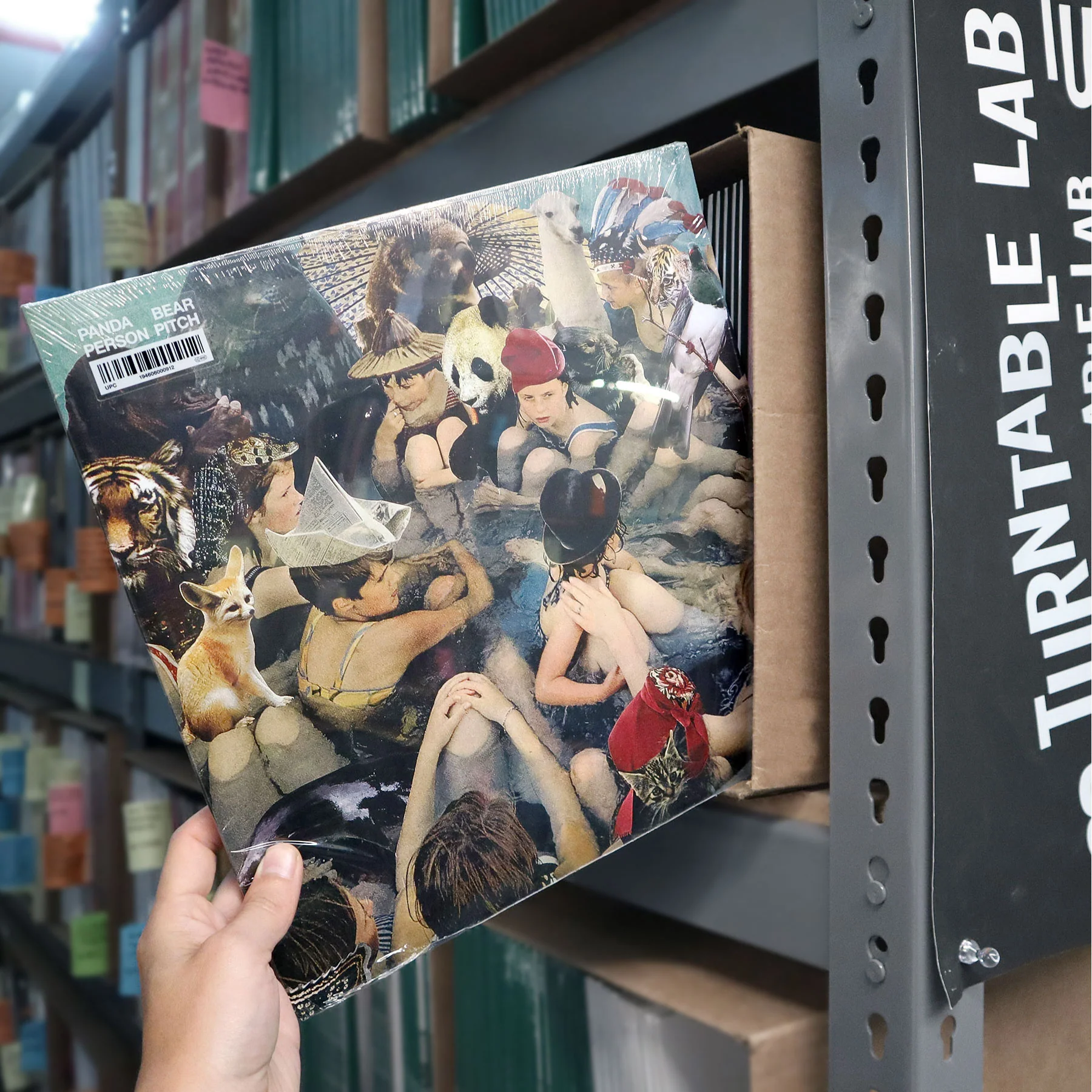 Panda Bear: Person Pitch Vinyl 2LP - Image 4