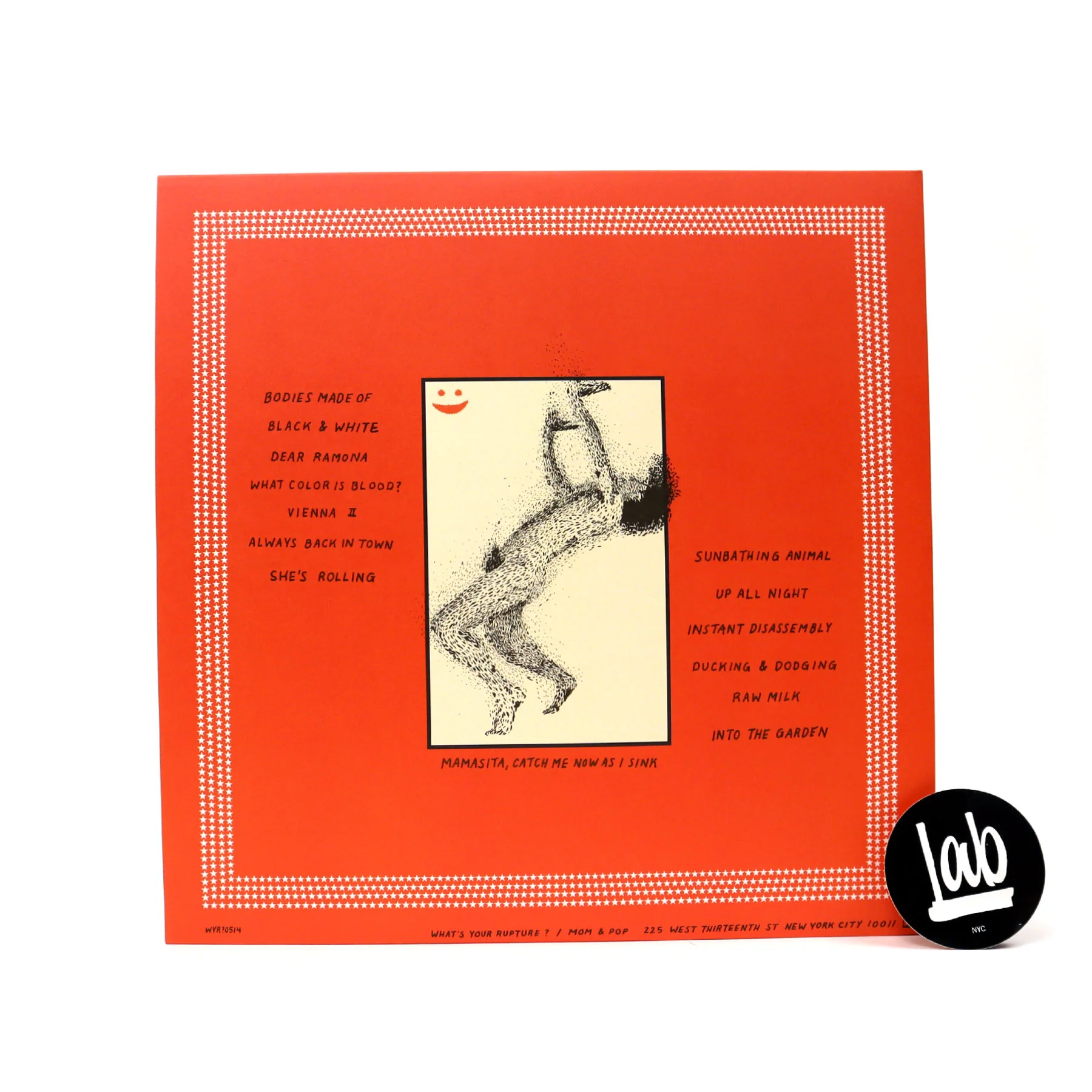 Parquet Courts: Sunbathing Animal (Glow In The Dark Colored Vinyl) Vinyl LP - Image 3