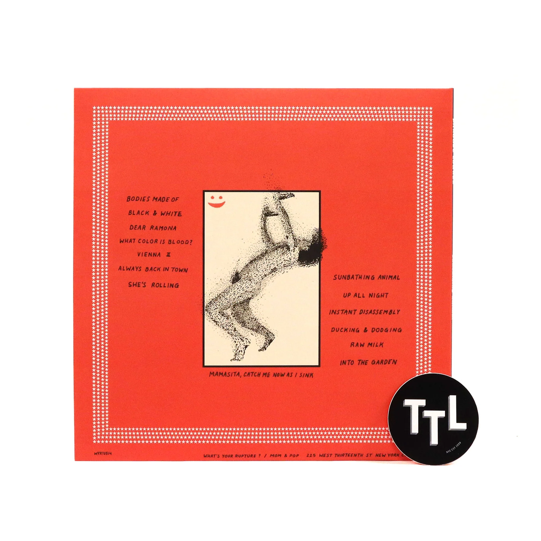 Parquet Courts: Sunbathing Animal Vinyl LP - Image 3