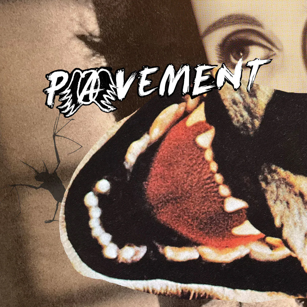 Pavement: Hecklers Choice - Big Gums And Heavy Lifters - A Pavement Collection Vinyl LP - Image 3