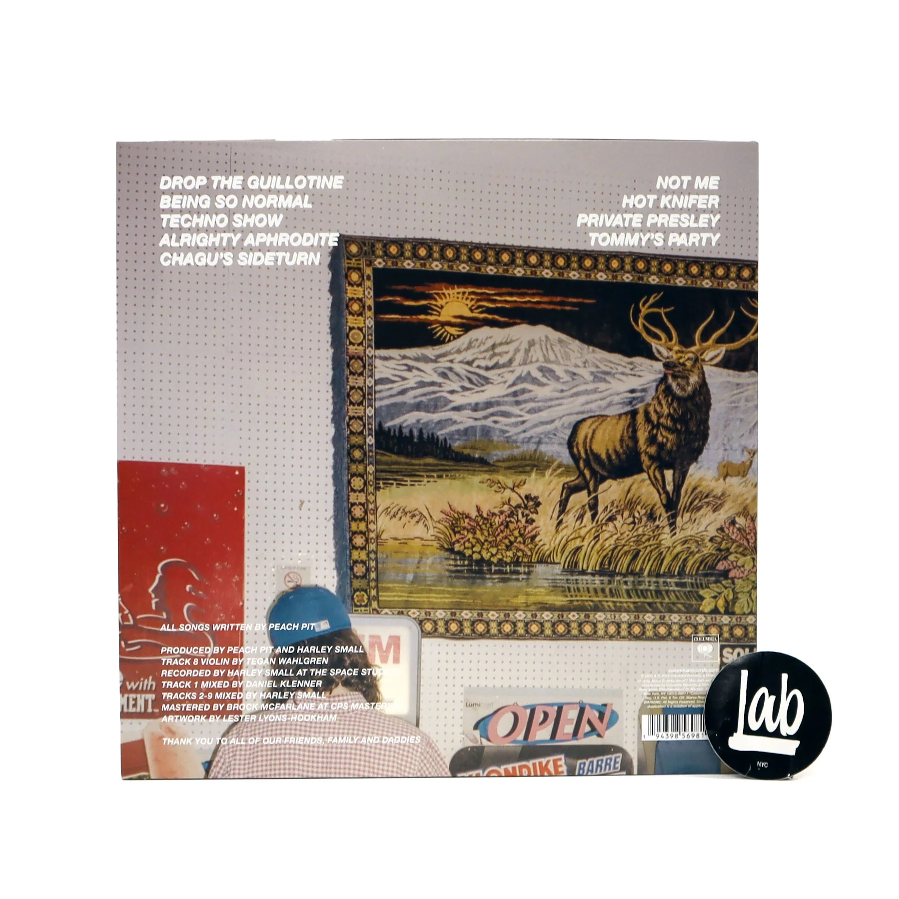 Peach Pit: Being So Normal Vinyl LP - Image 2