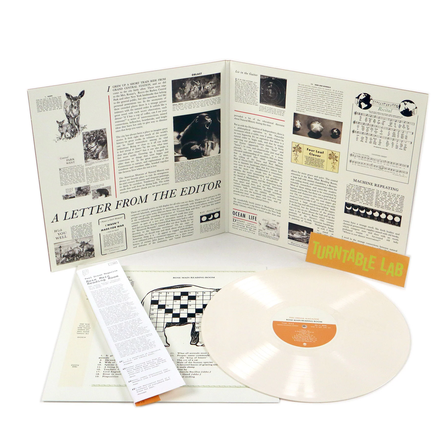 Peel Dream Magazine: Rose Main Reading Room (Colored Vinyl) Vinyl LP - Image 2
