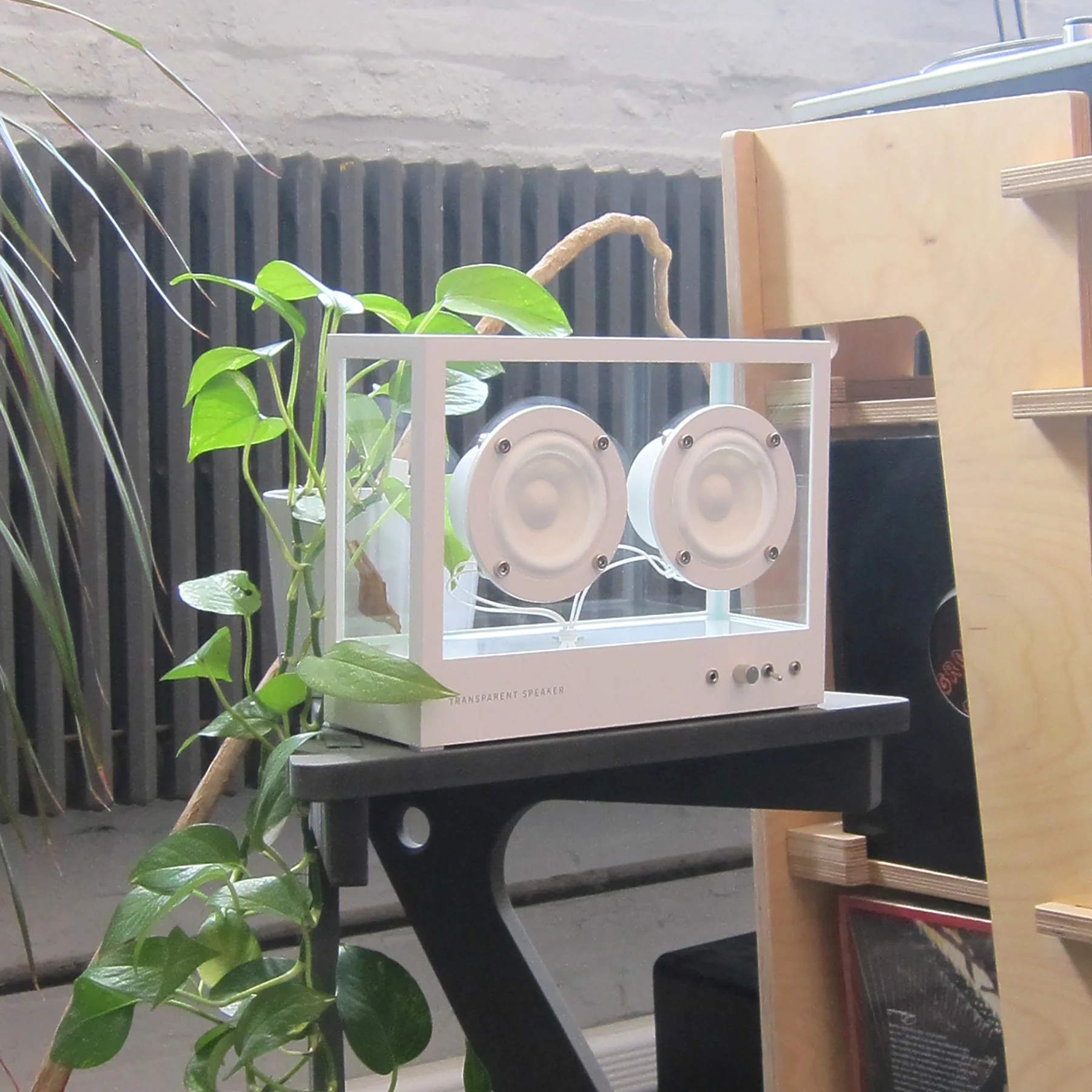 Transparent: Transparent Speaker - Small / White (STS-W) - Image 10