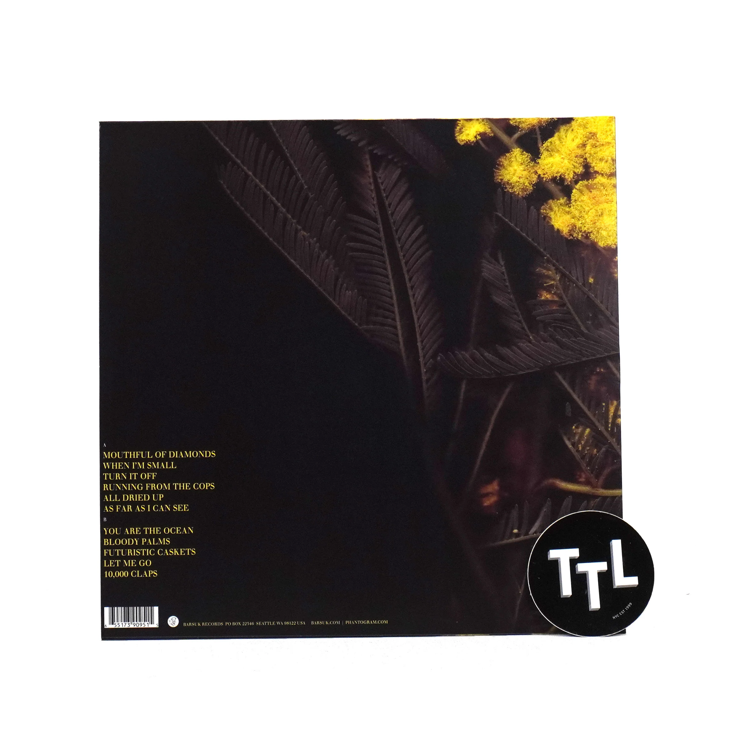Phantogram: Eyelid Movies (Colored Vinyl) Vinyl LP - Image 3