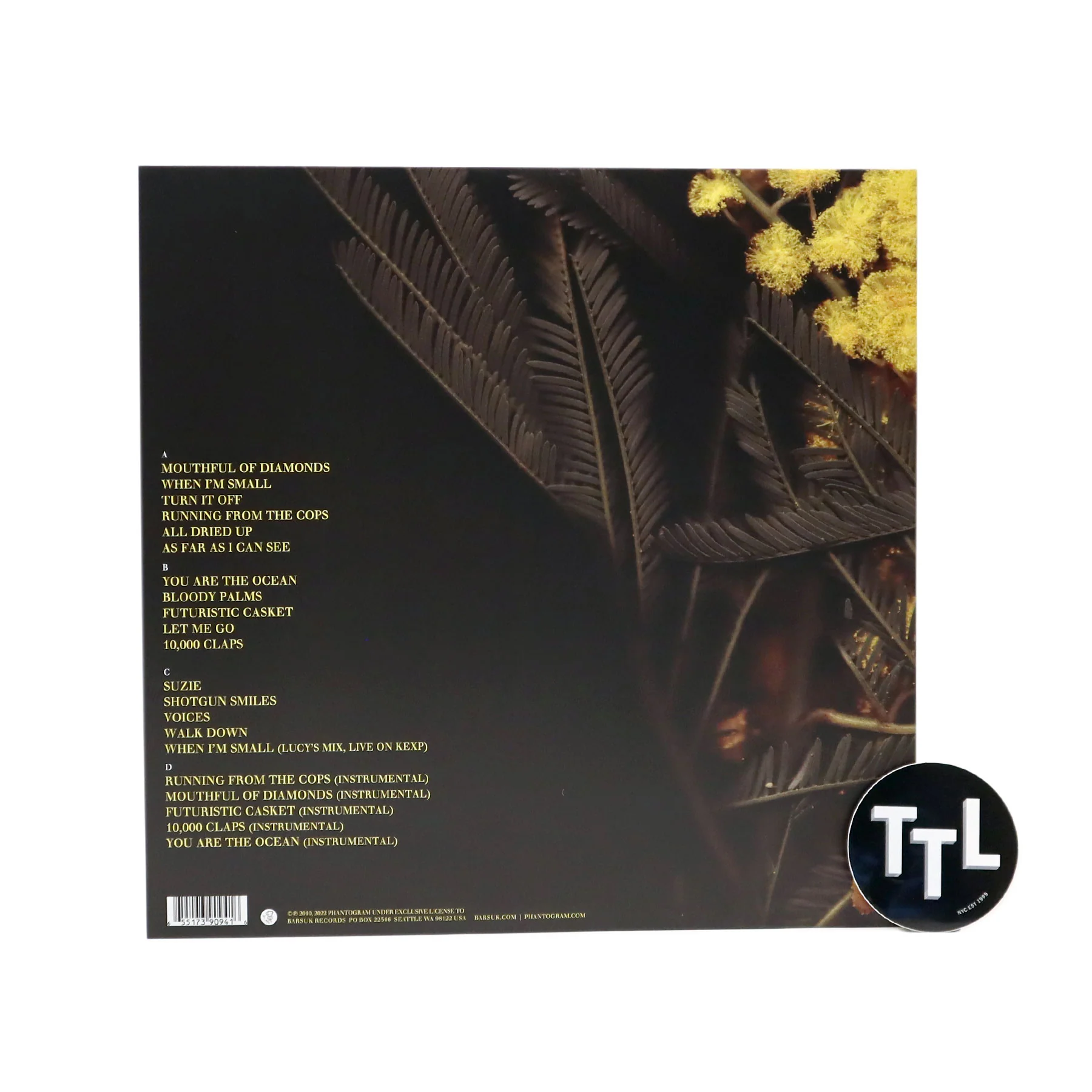 Phantogram: Eyelid Movies - Deluxe Edition (Colored Vinyl) Vinyl 2LP - Image 3