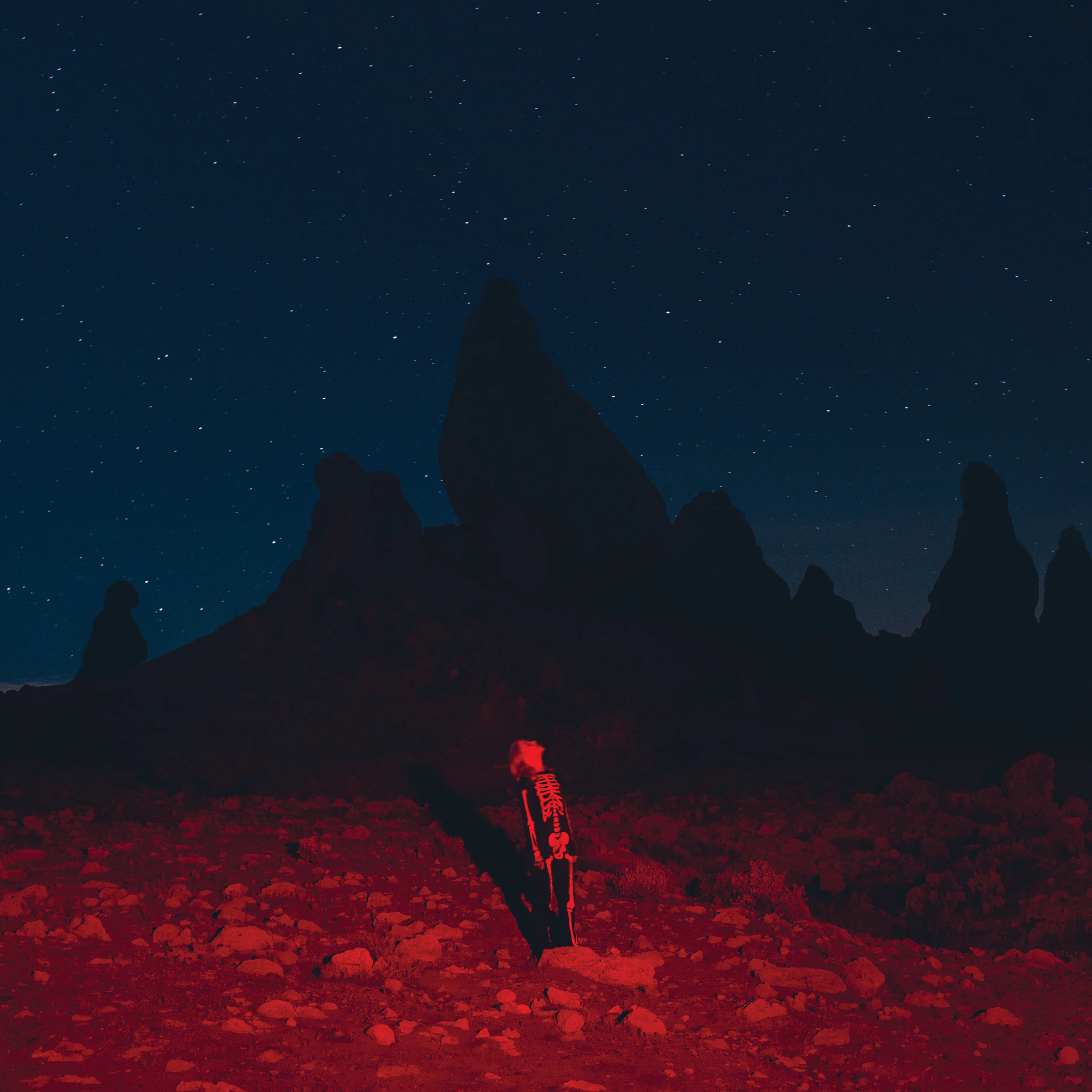 Phoebe Bridgers: Punisher (Colored Vinyl) Vinyl LP - Image 2