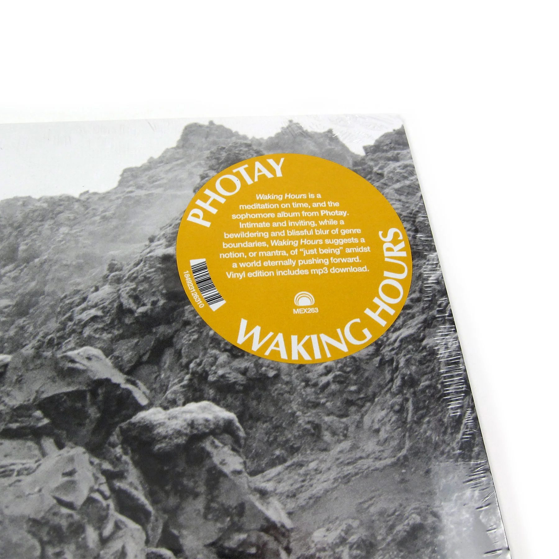 Photay: Waking Hours Vinyl LP - Image 4