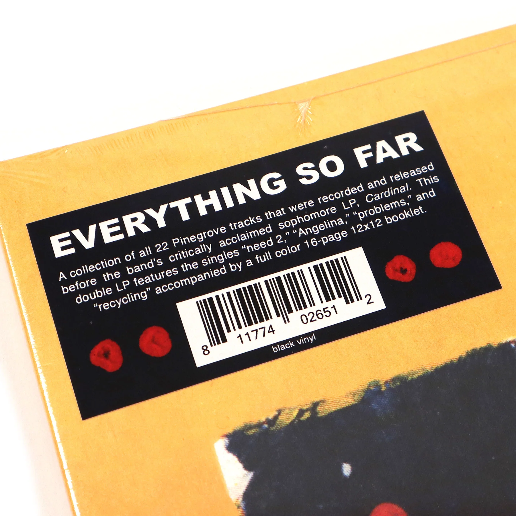 Pinegrove: Everything So Far Vinyl 2LP - Image 4