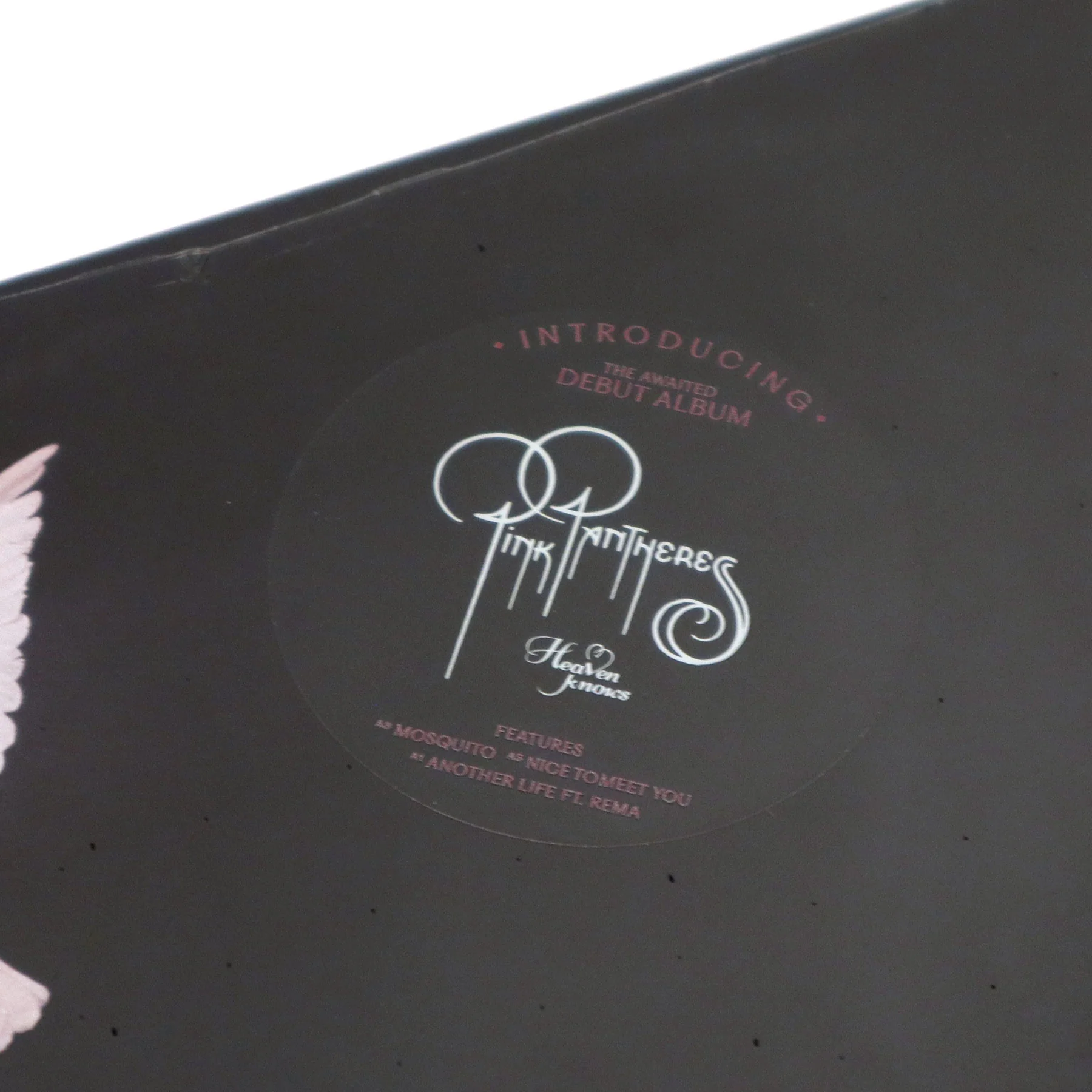 PinkPantheress: Heaven Knows (Colored Vinyl) Vinyl LP - Image 4