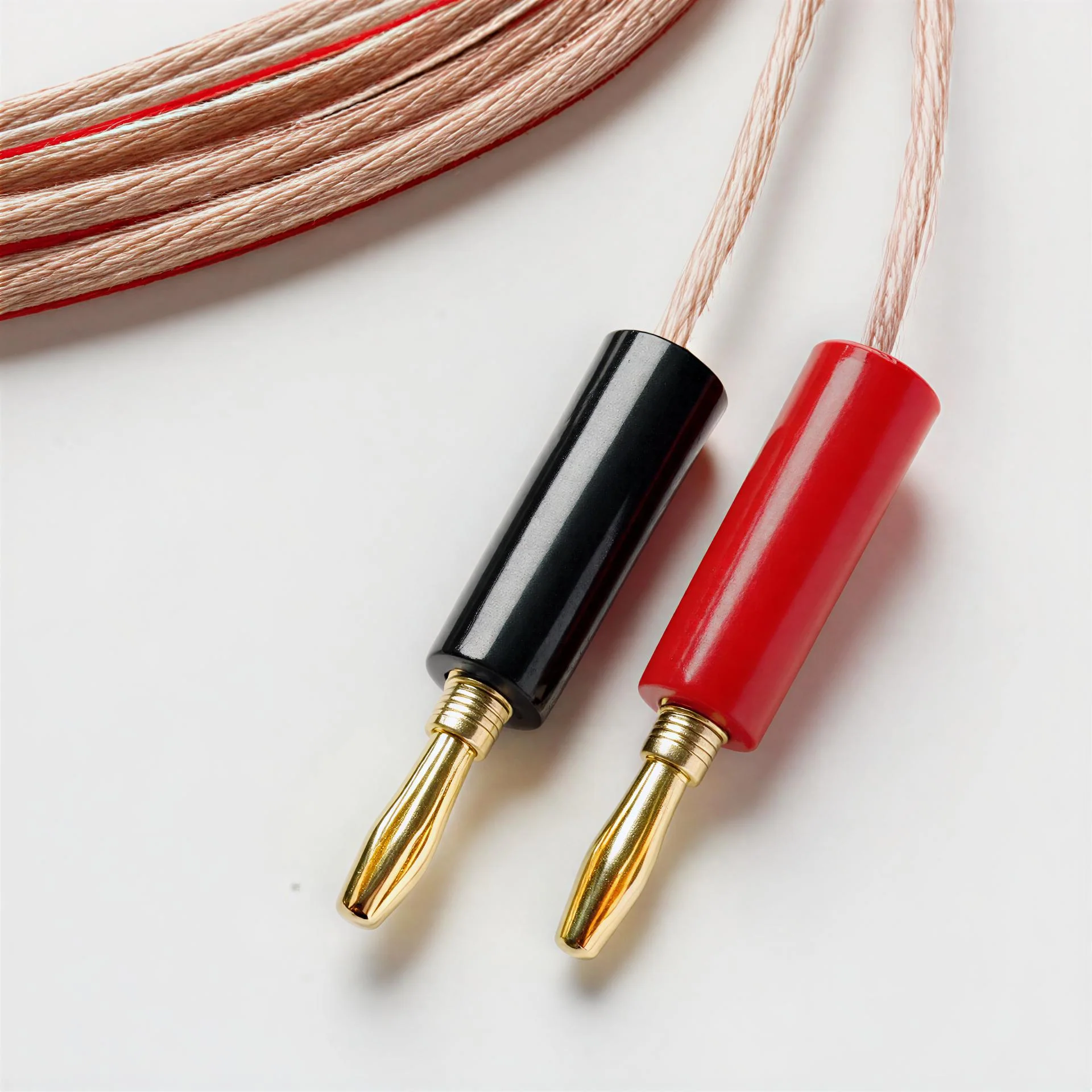 Pro-Ject: Colorful Audio System E Turntable Package - Image 9