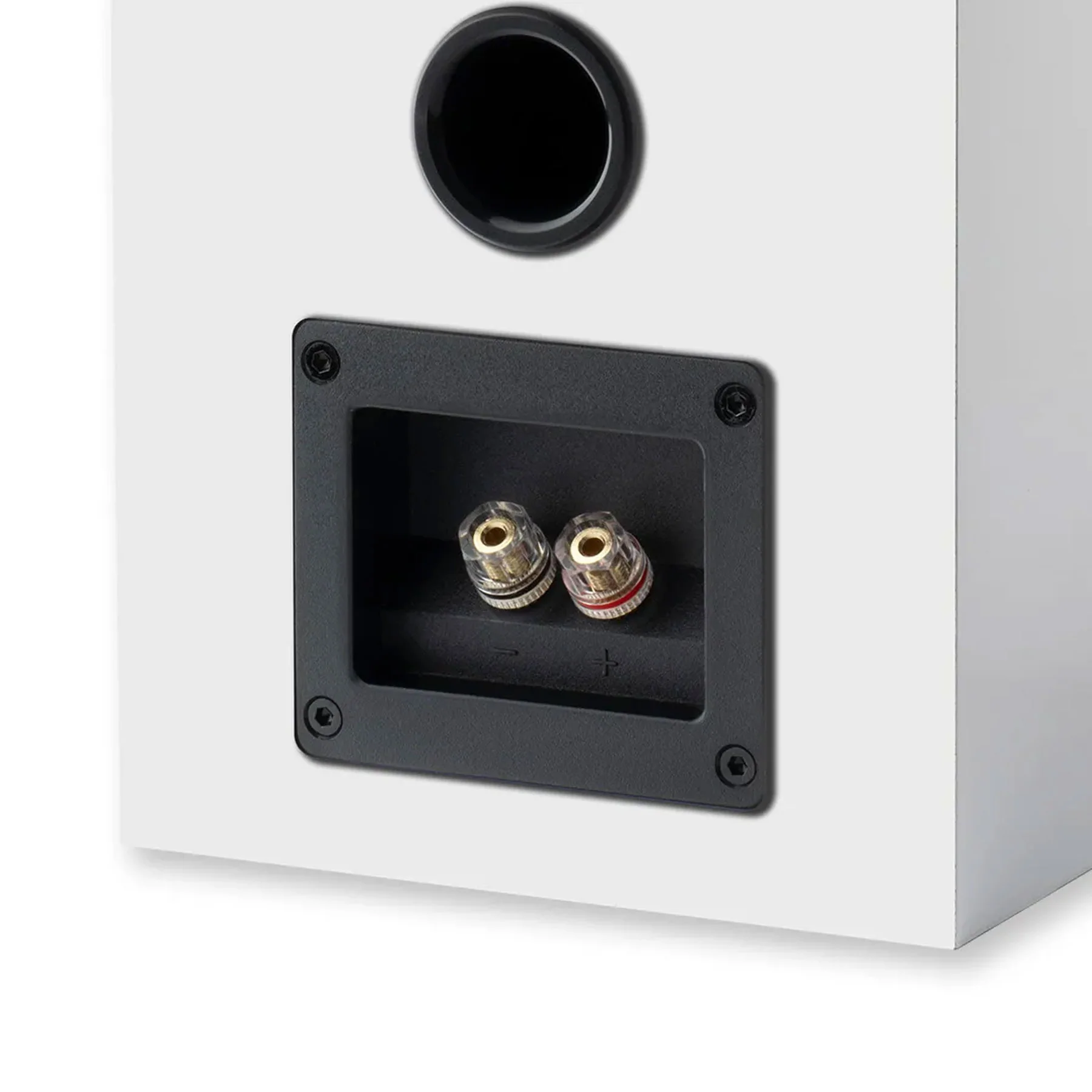 Pro-Ject: Speaker Box 5 E Carbon Passive Speakers (Pair) - Image 9