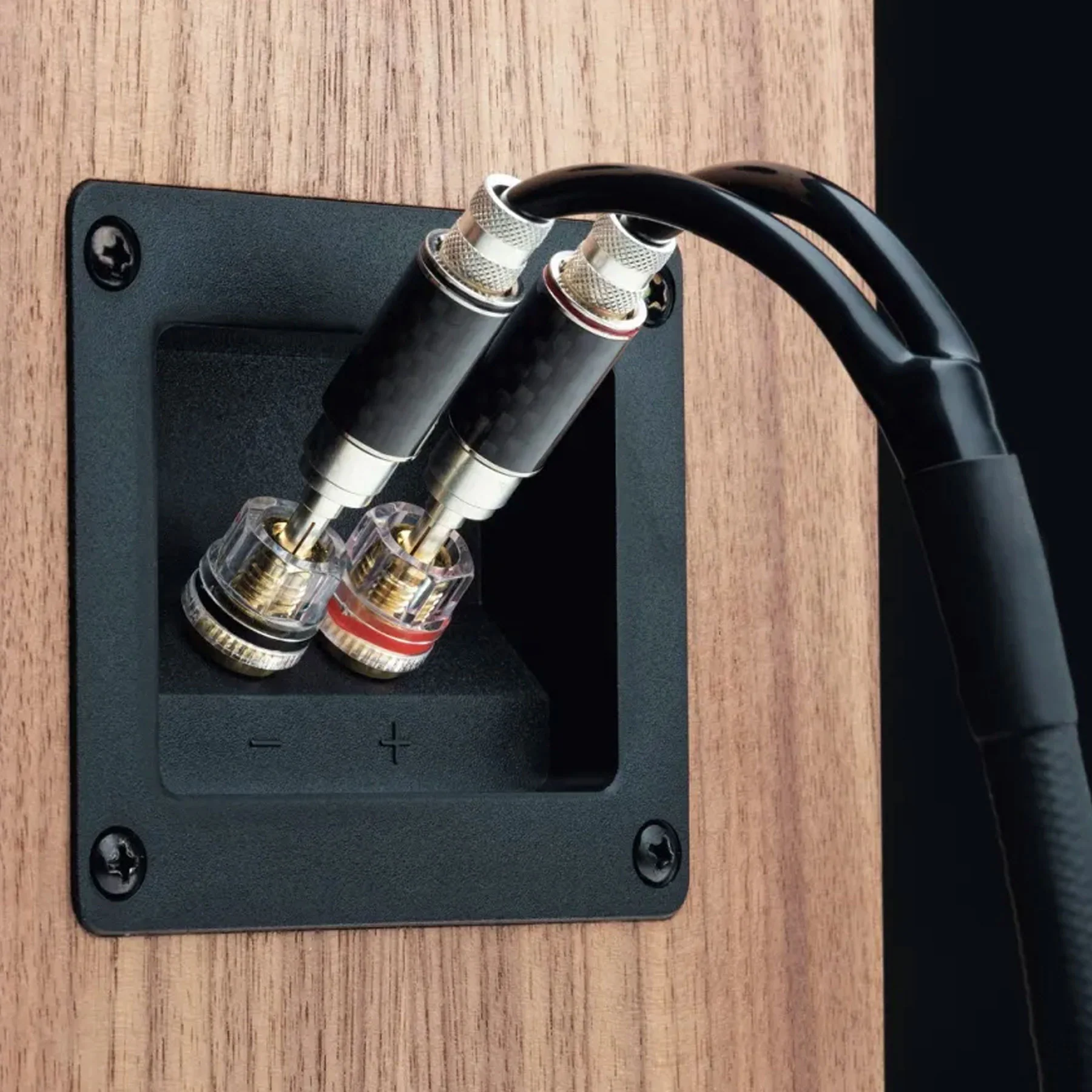 Pro-Ject: Speaker Box 5 S2 Passive Speakers - Walnut - Image 3
