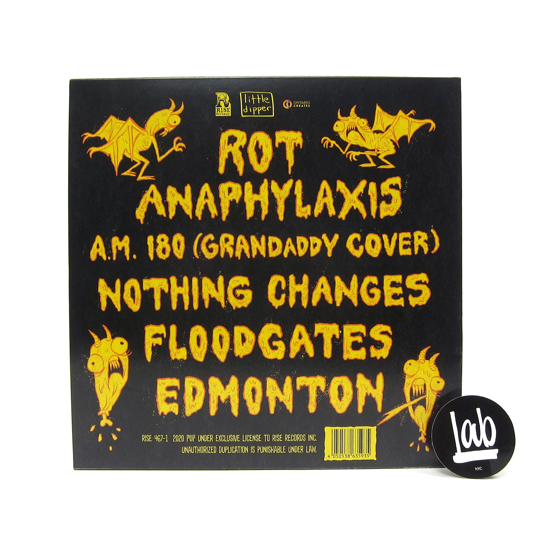 PUP: This Place Sucks Ass (Indie Exclusive Colored Vinyl) Vinyl LP - Image 3
