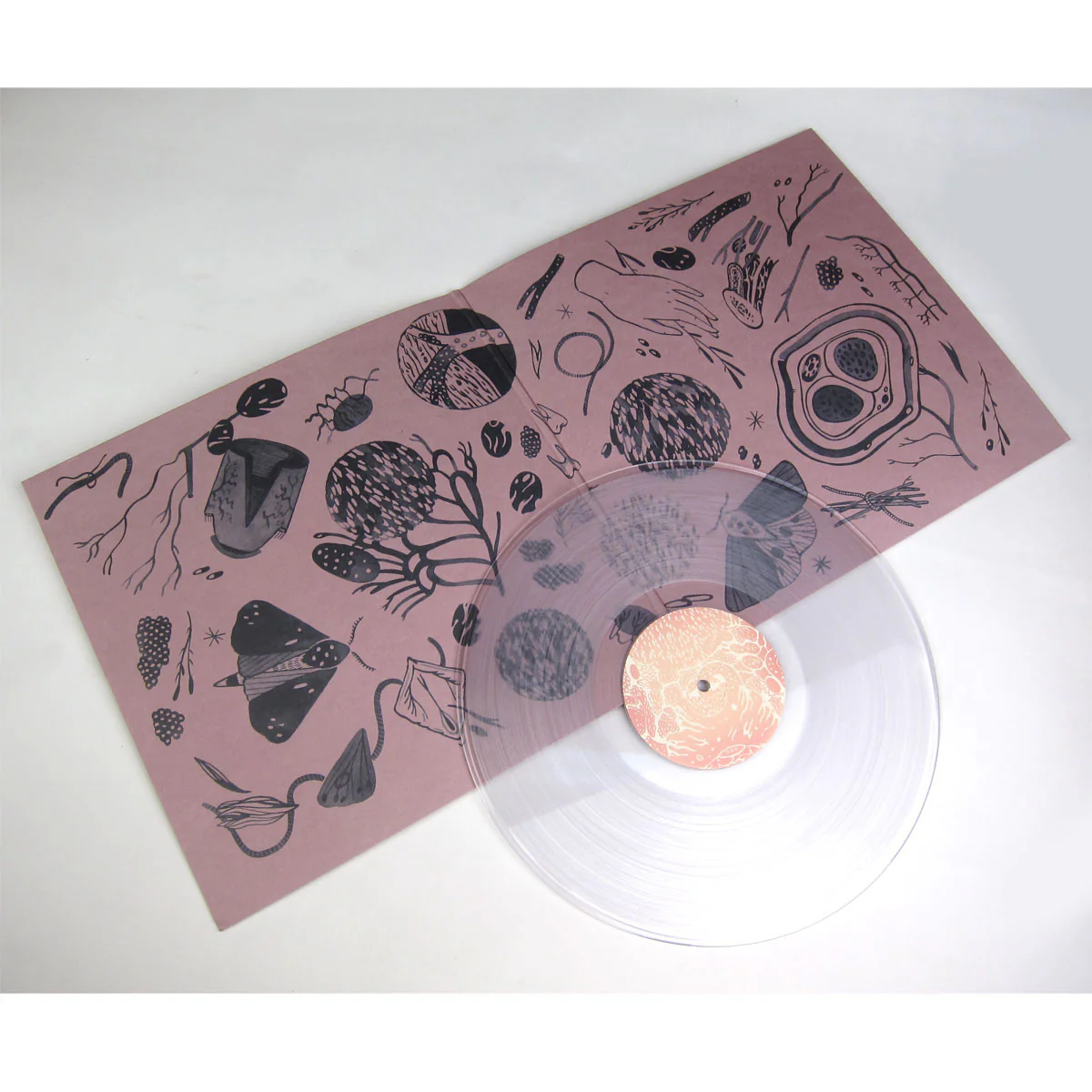 Purity Ring: Another Eternity (Clear Vinyl) Vinyl LP - Image 2