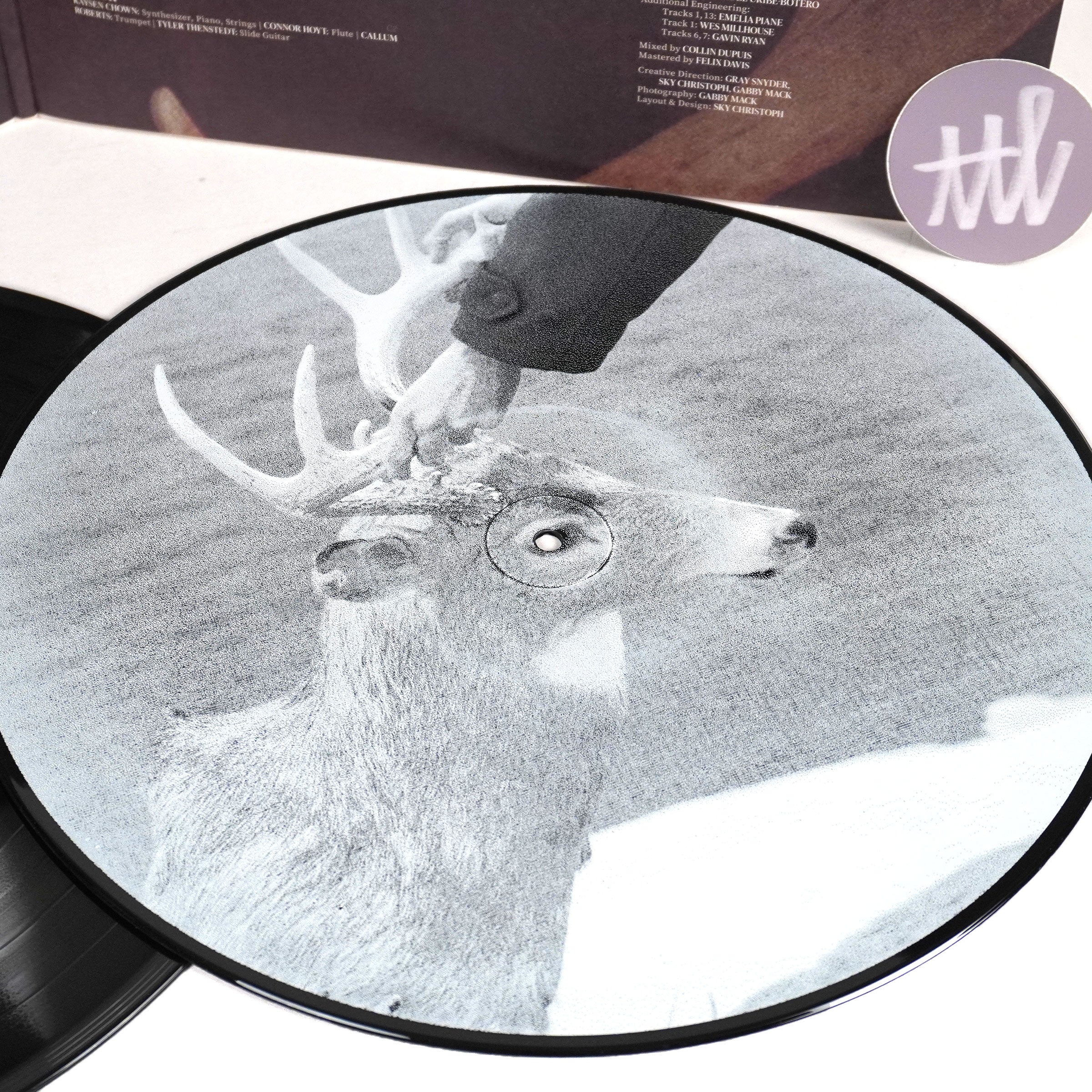 Racing Mount Pleasant: Racing Mount Pleasant Vinyl LP - Image 2