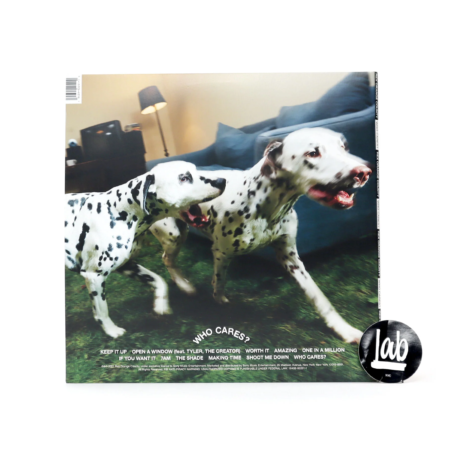Rex Orange County: Who Cares? Vinyl LP - Image 3