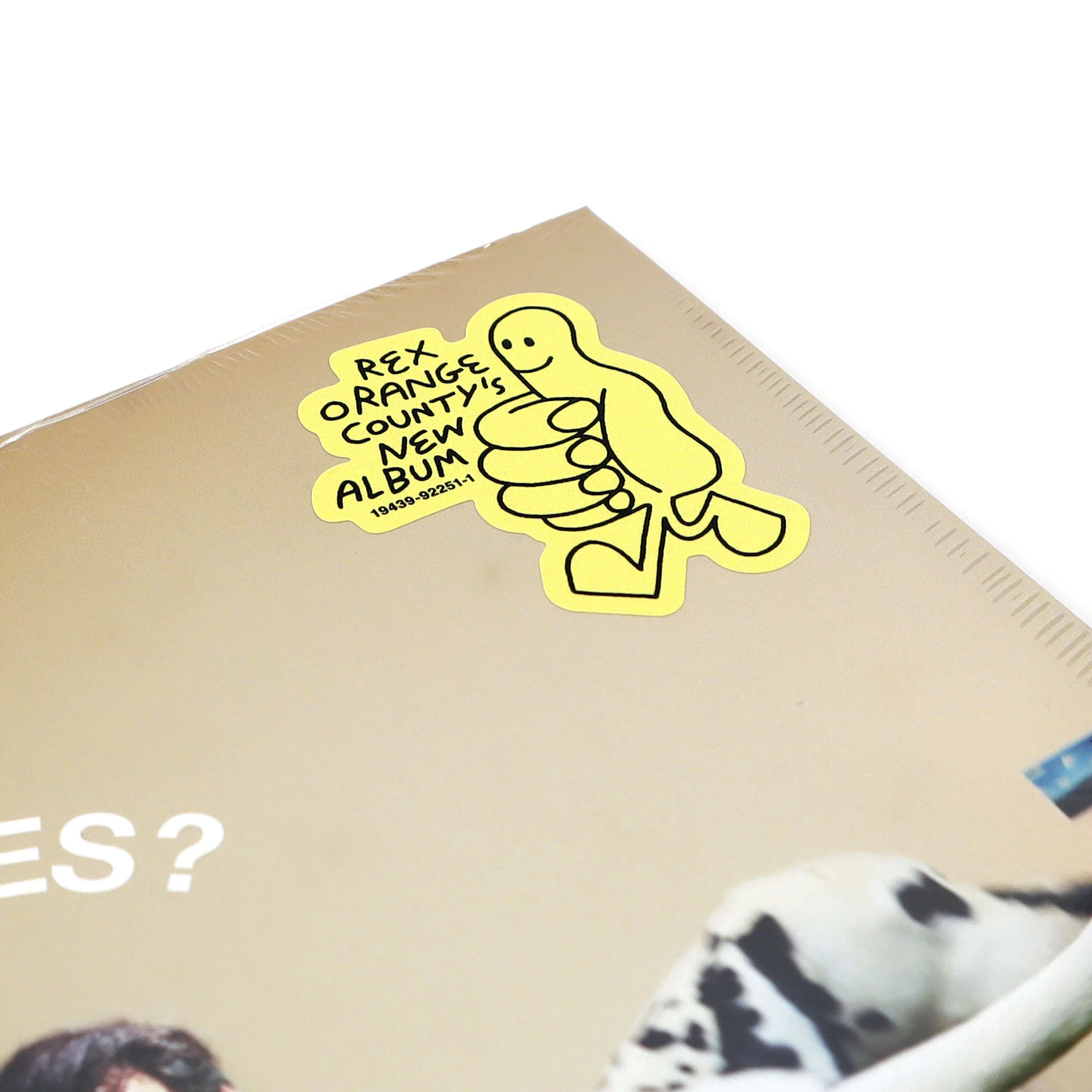 Rex Orange County: Who Cares? Vinyl LP - Image 4