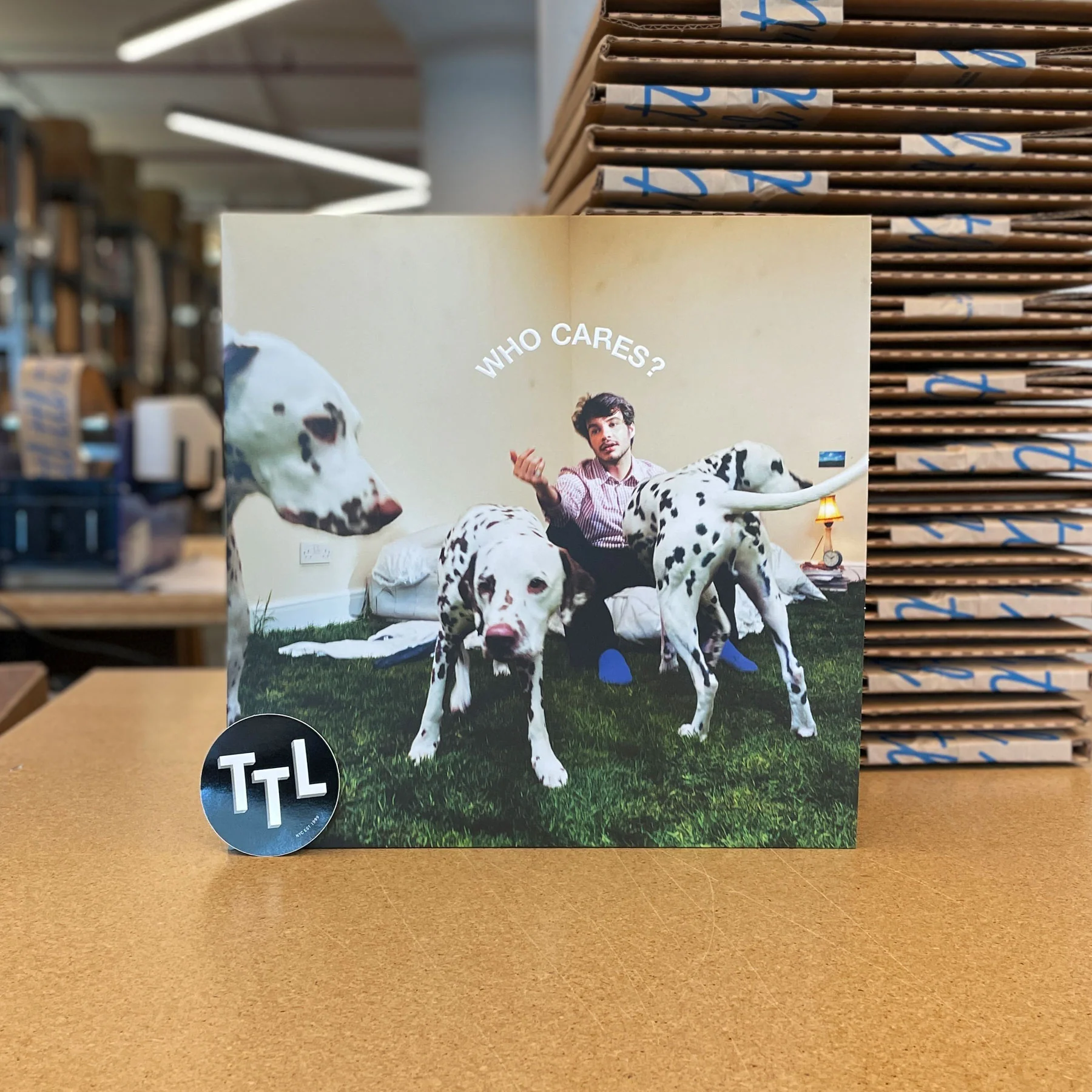 Rex Orange County: Who Cares? Vinyl LP - Image 5