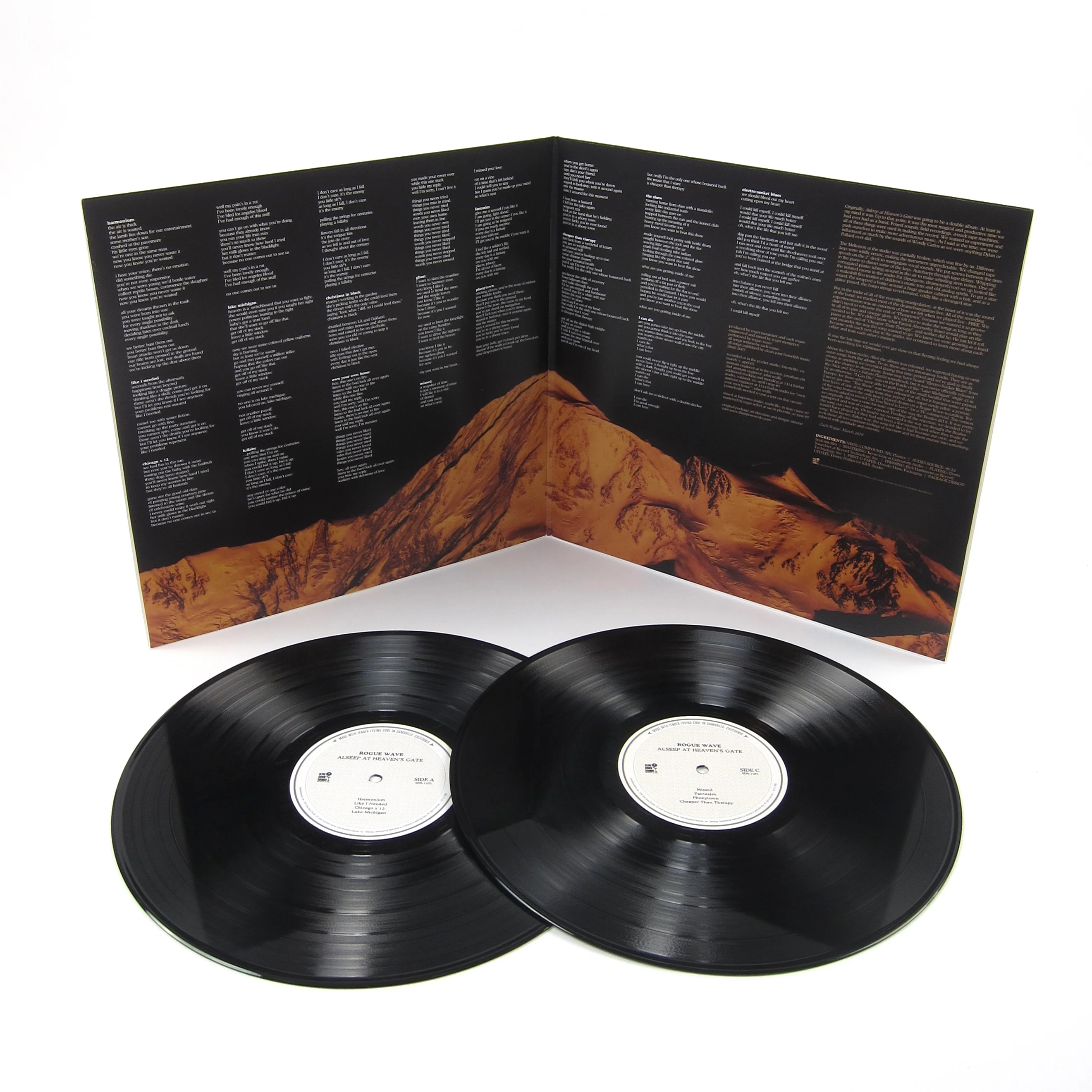 Rogue Wave: Asleep At Heaven's Gate 10th Anniversary Edition Vinyl 2LP - Image 2