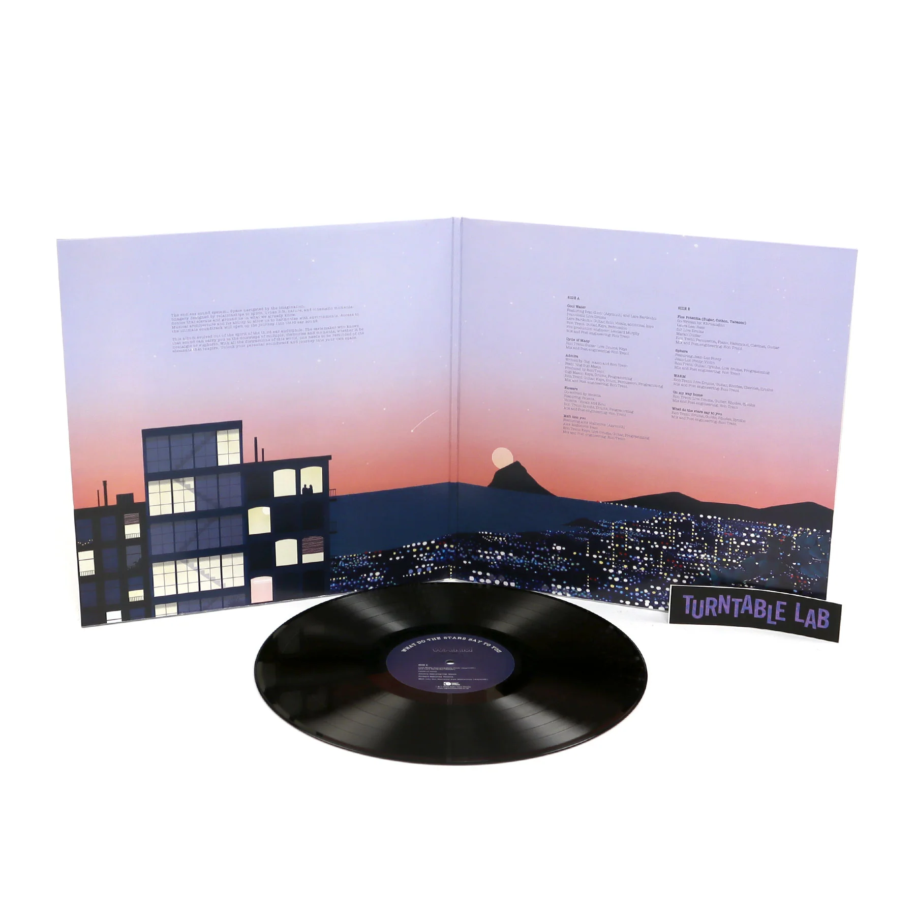 Ron Trent: What Do The Stars Say To You Vinyl LP - Image 2
