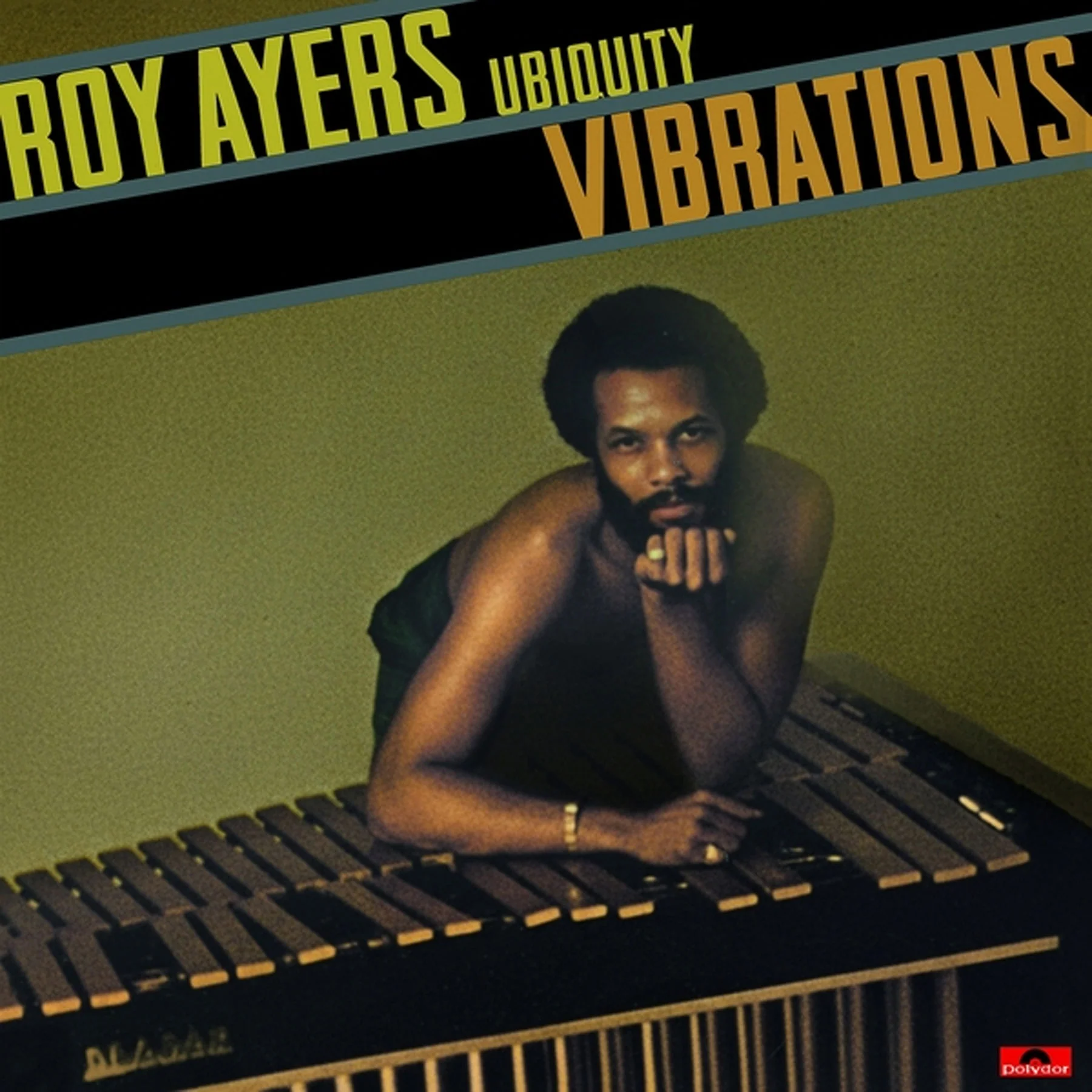Roy Ayers Ubiquity: Vibrations Vinyl LP - Image 2