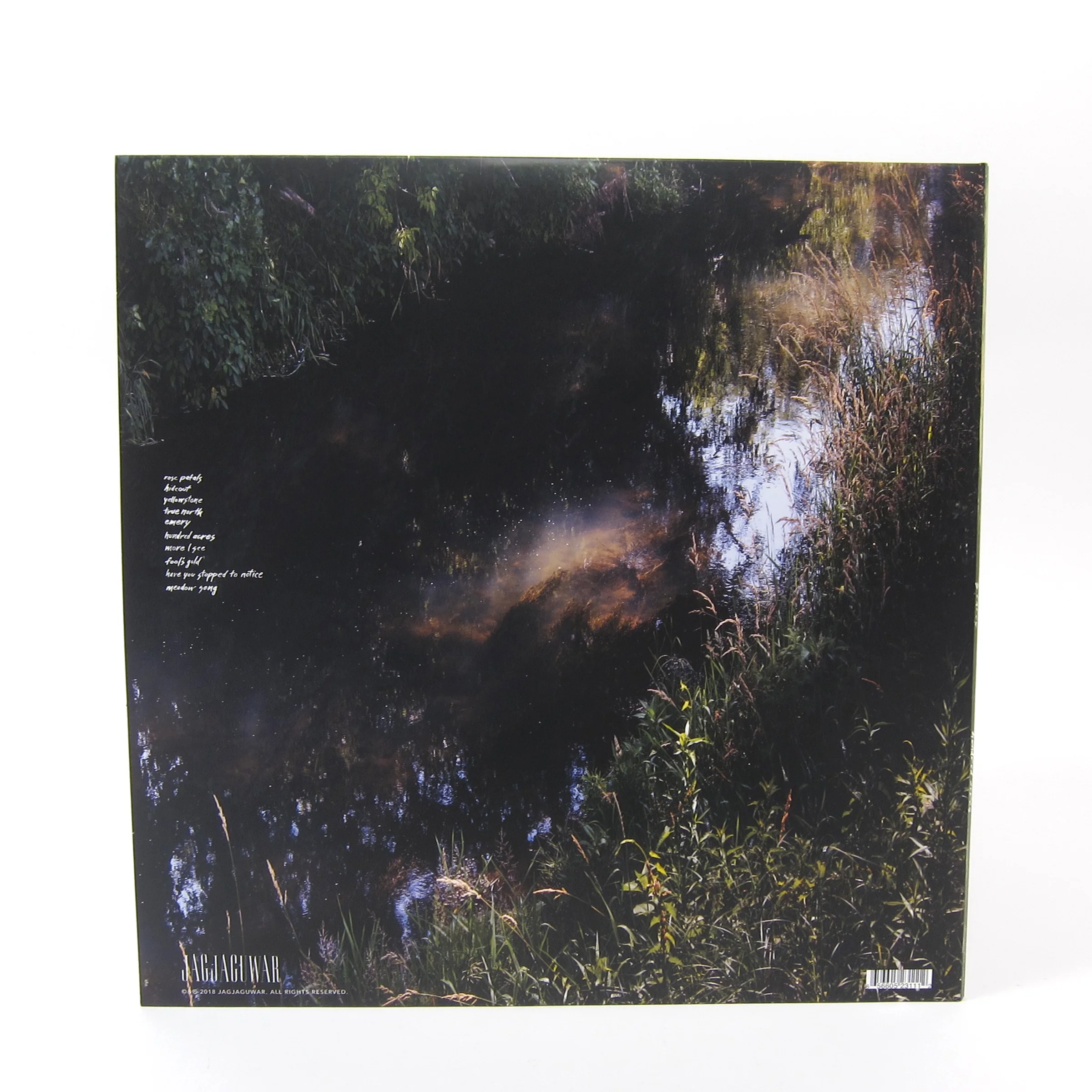 S. Carey: Hundred Acres (Colored Vinyl) Vinyl LP - Image 3