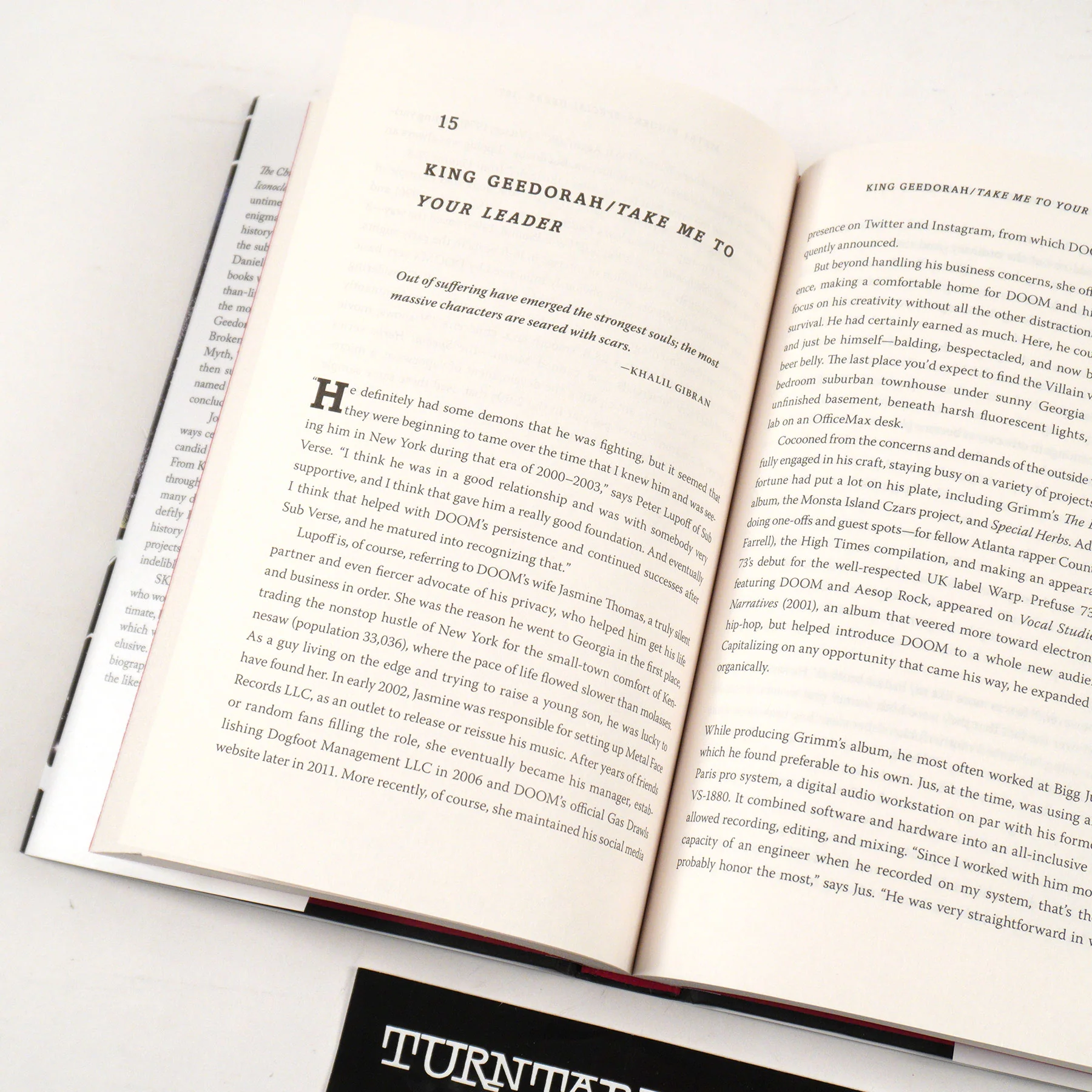 S.H. Fernando Jr.: The Chronicles of DOOM Hardcover Book - Image 4