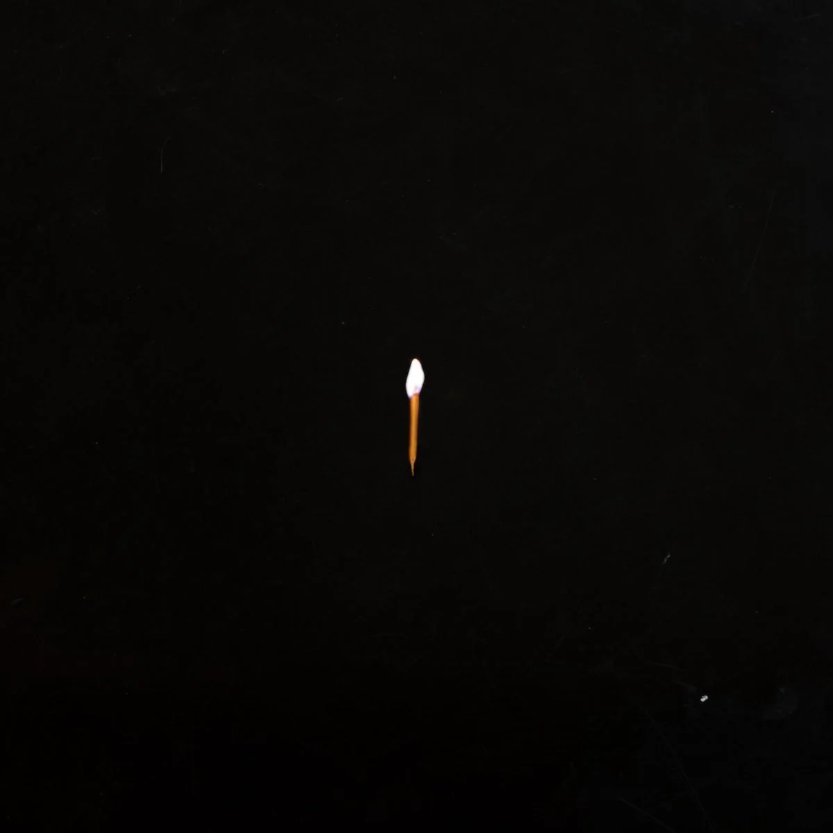 Sault: Chapter 1 Vinyl LP - PRE-ORDER - Image 2