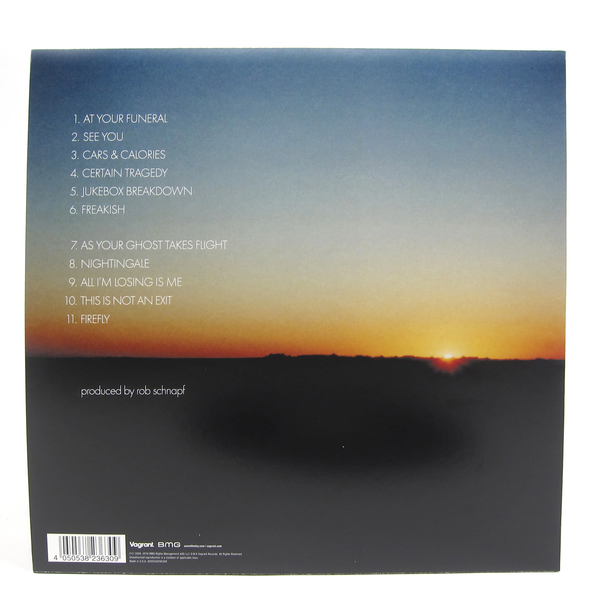 Saves the Day: Stay What You Are (180g) Vinyl LP - Image 3