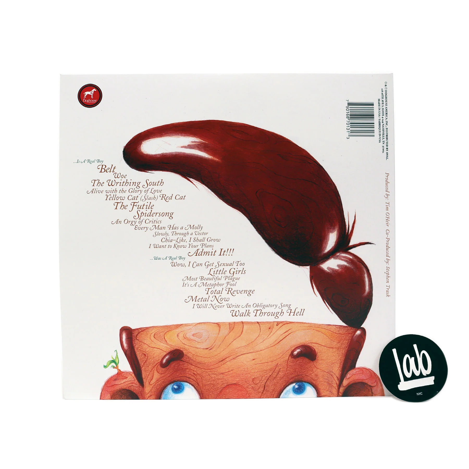 Say Anything: ...Is a Real Boy (Indie Exclusive Colored Vinyl) Vinyl 2LP - Image 3