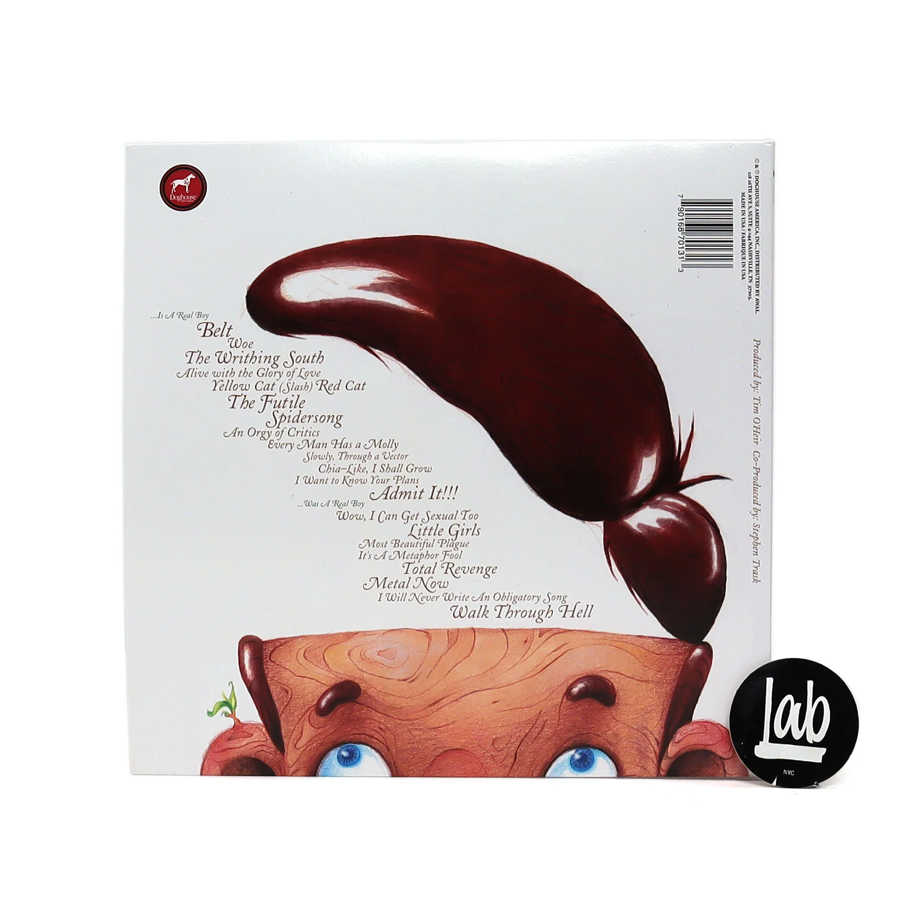 Say Anything: ...Is A Real Boy Vinyl 2LP - Image 3