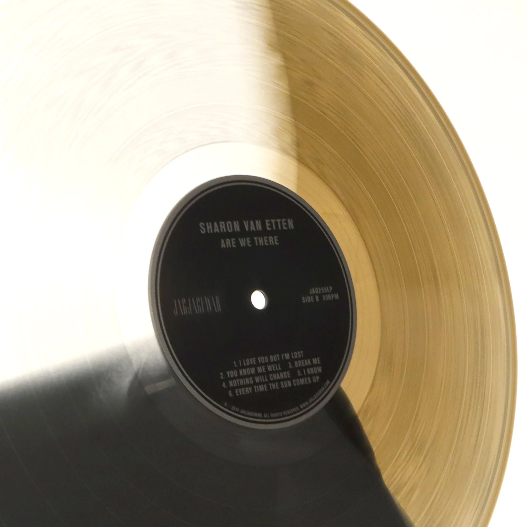 Sharon Van Etten: Are We There - 10th Anniversary (Colored Vinyl) Vinyl LP - Image 2