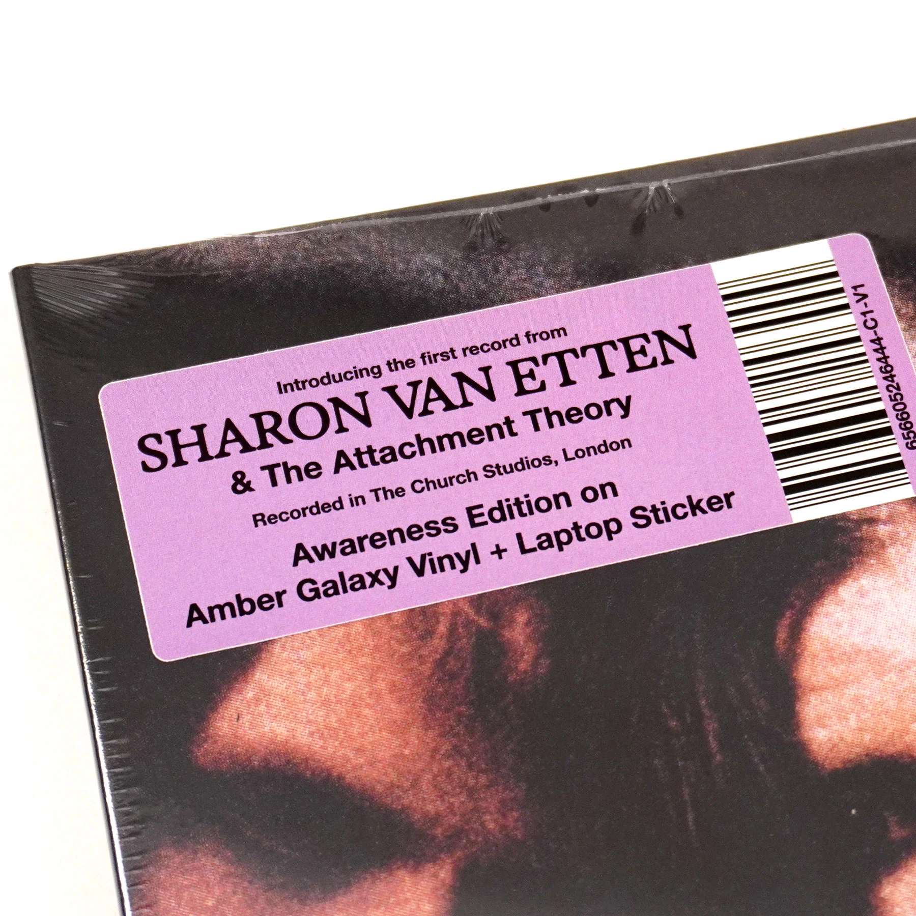 Sharon Van Etten: Sharon Van Etten & The Attachment Theory (Indie Exclusive Colored Vinyl) Vinyl LP - Image 5