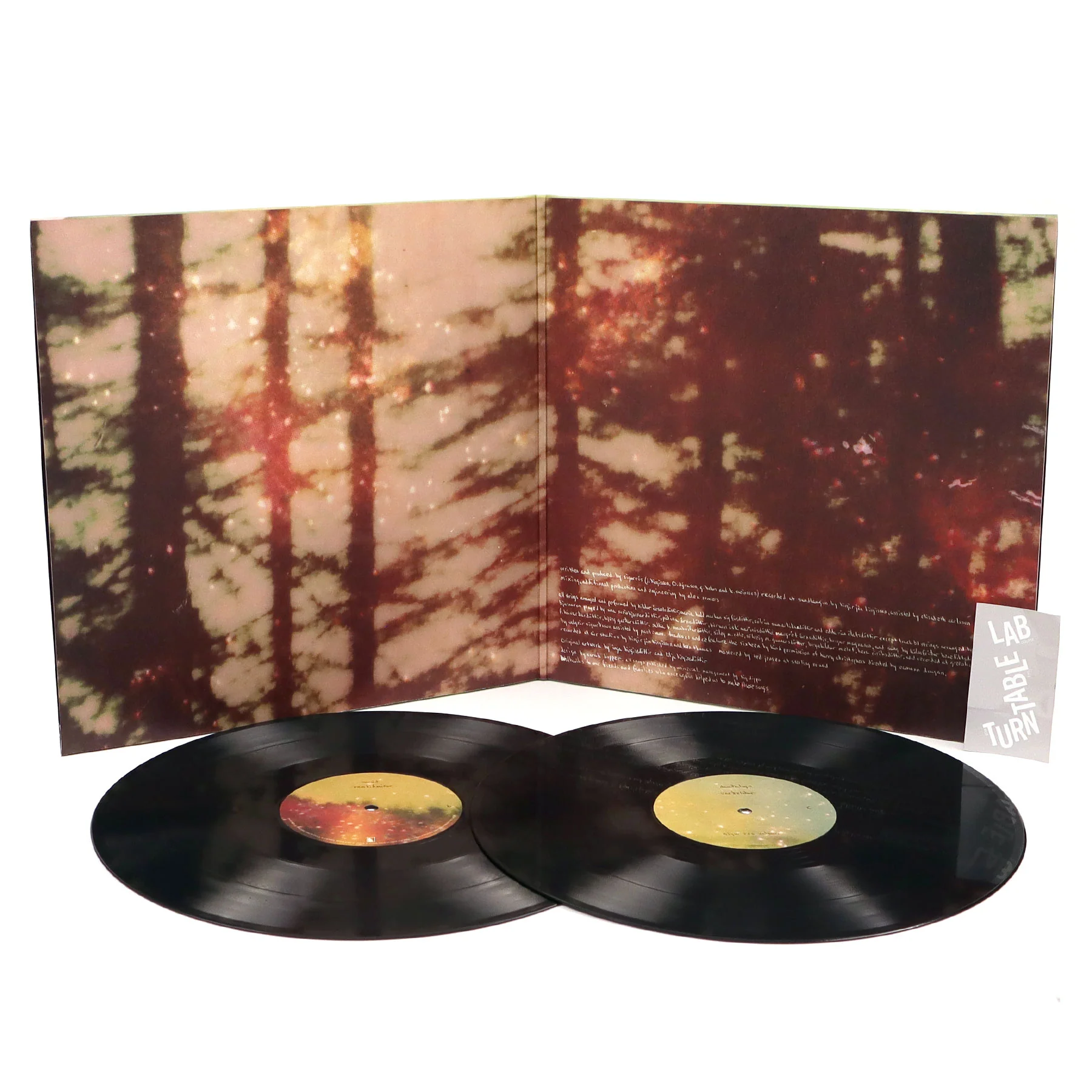 Sigur Ros: Valtari Vinyl 2LP - Image 2